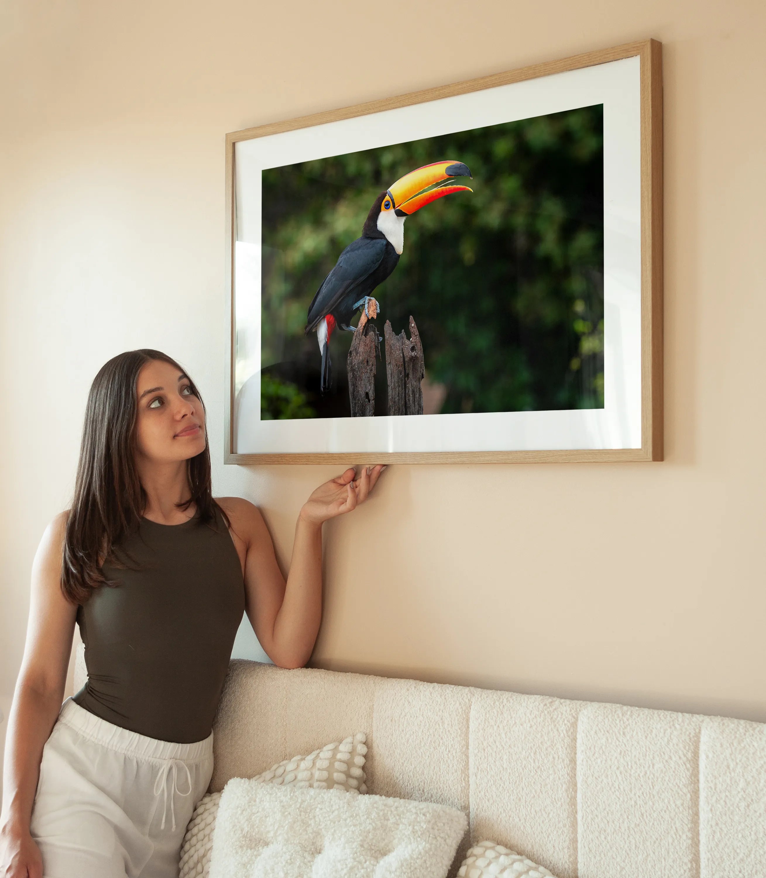 Colorful Toucan wird aufgehängt
