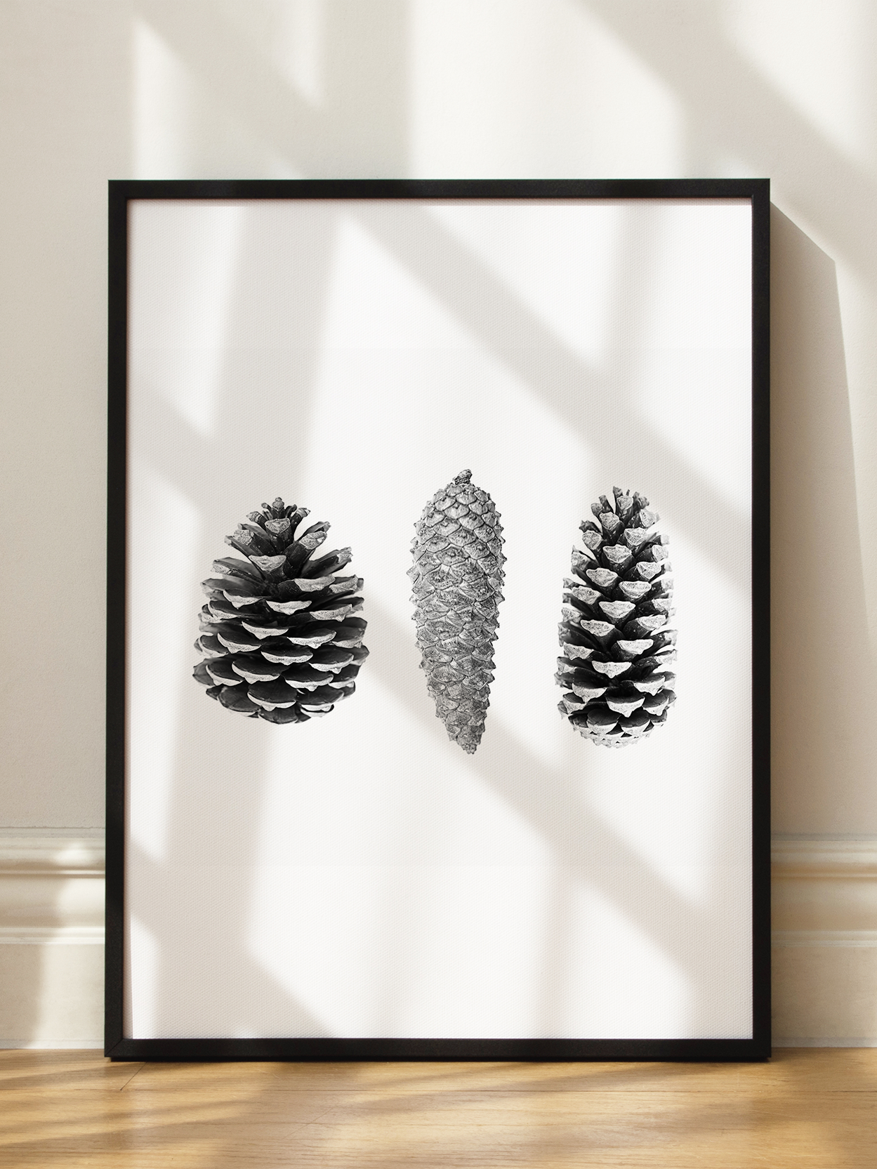 Cones Poster