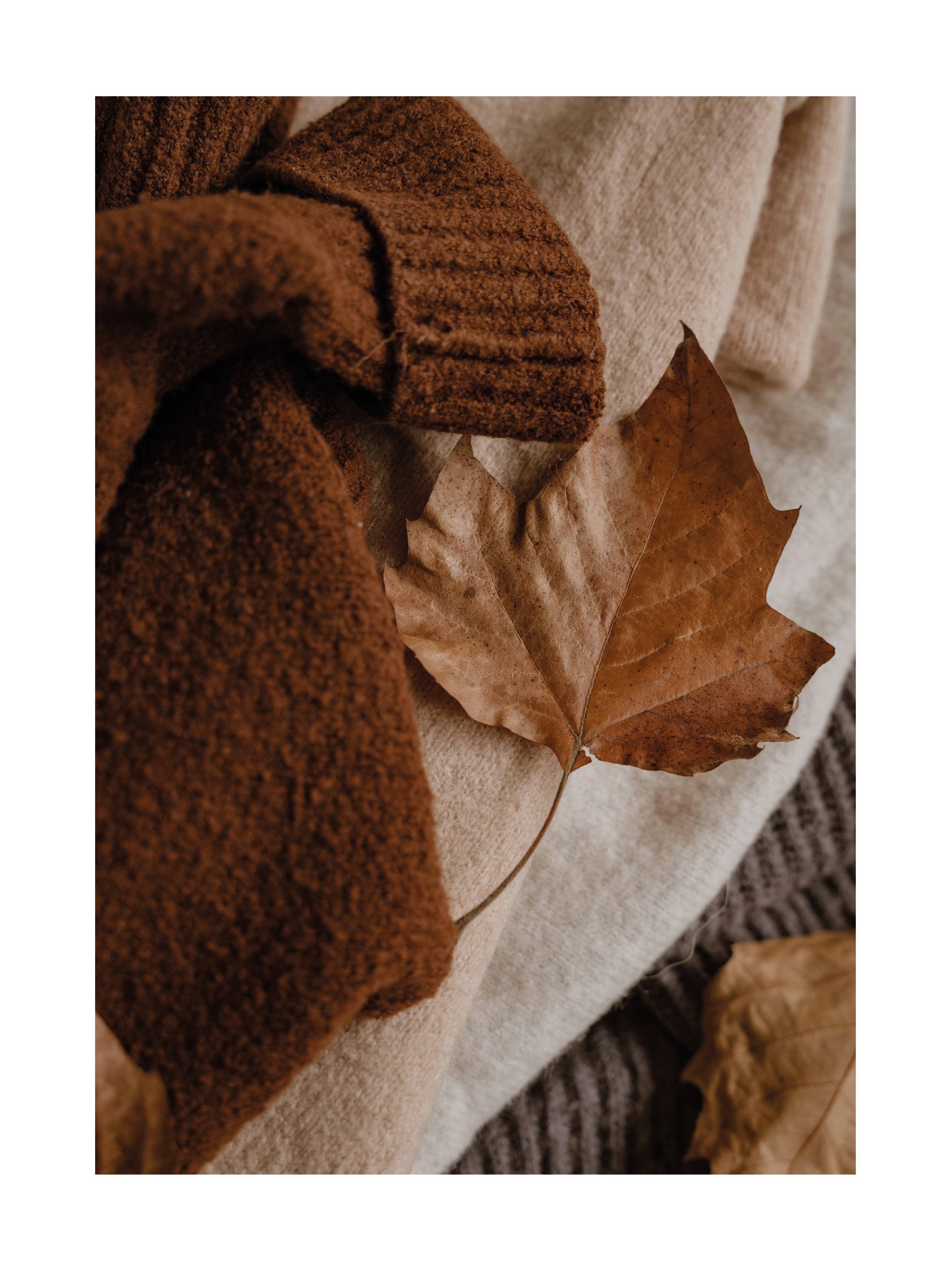 Ein braunes Blatt auf einem Stapel von Pullovern in Braun, Beige und Grau.