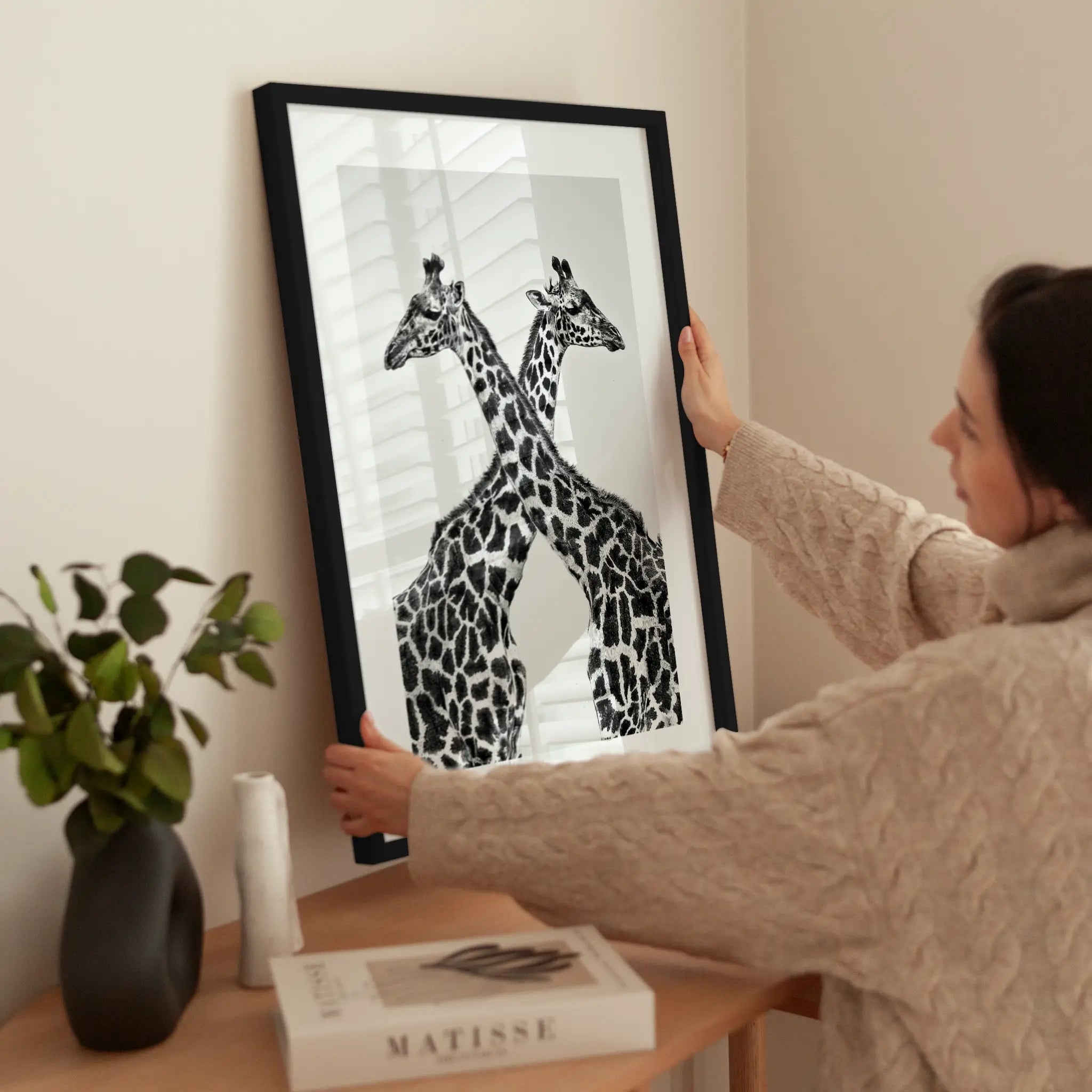 Crossing Giraffes wird aufgehängt