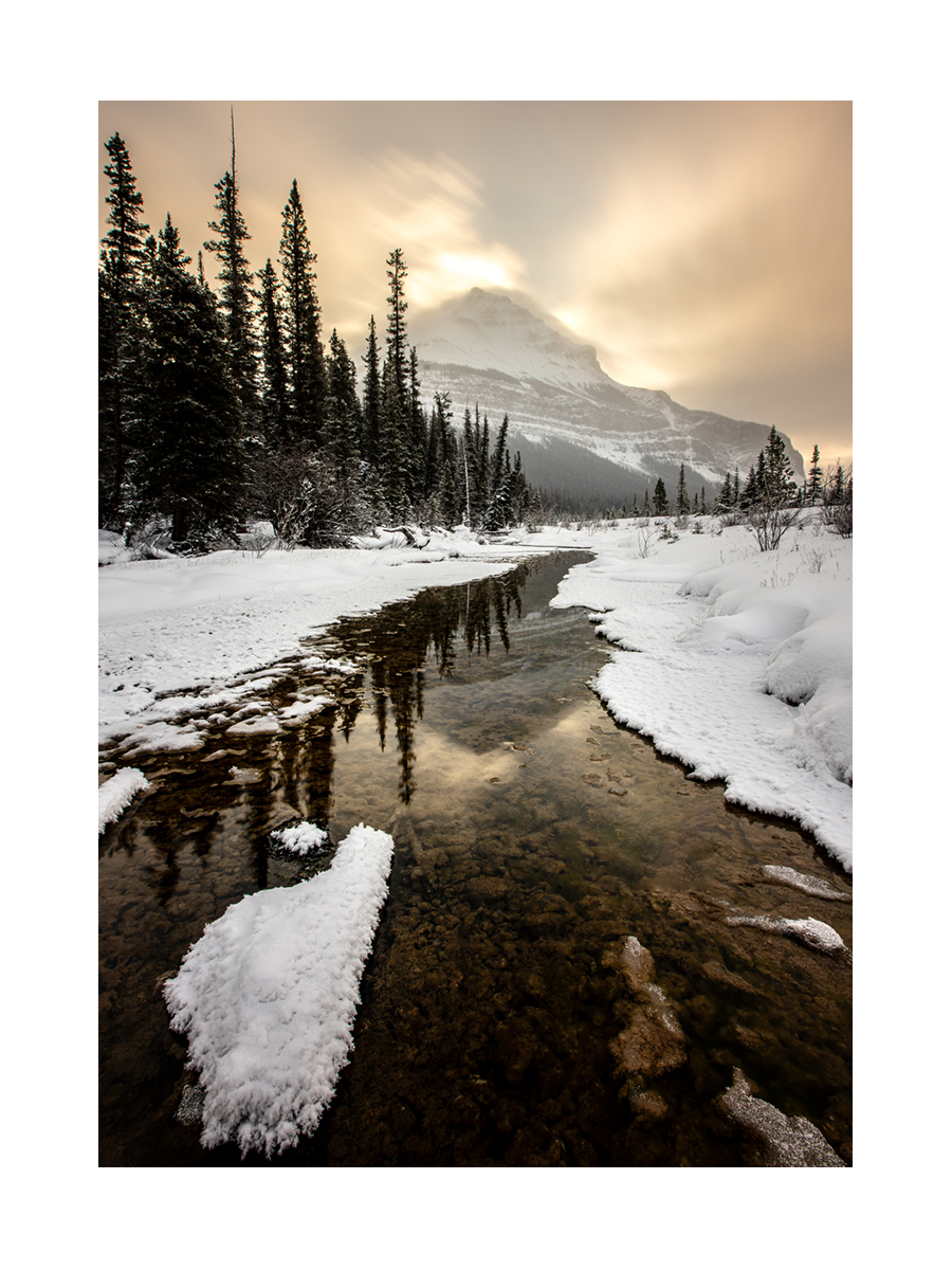 Winterliche Flusslandschaft mit schneebedeckten Bäumen und einem Berg im Hintergrund.