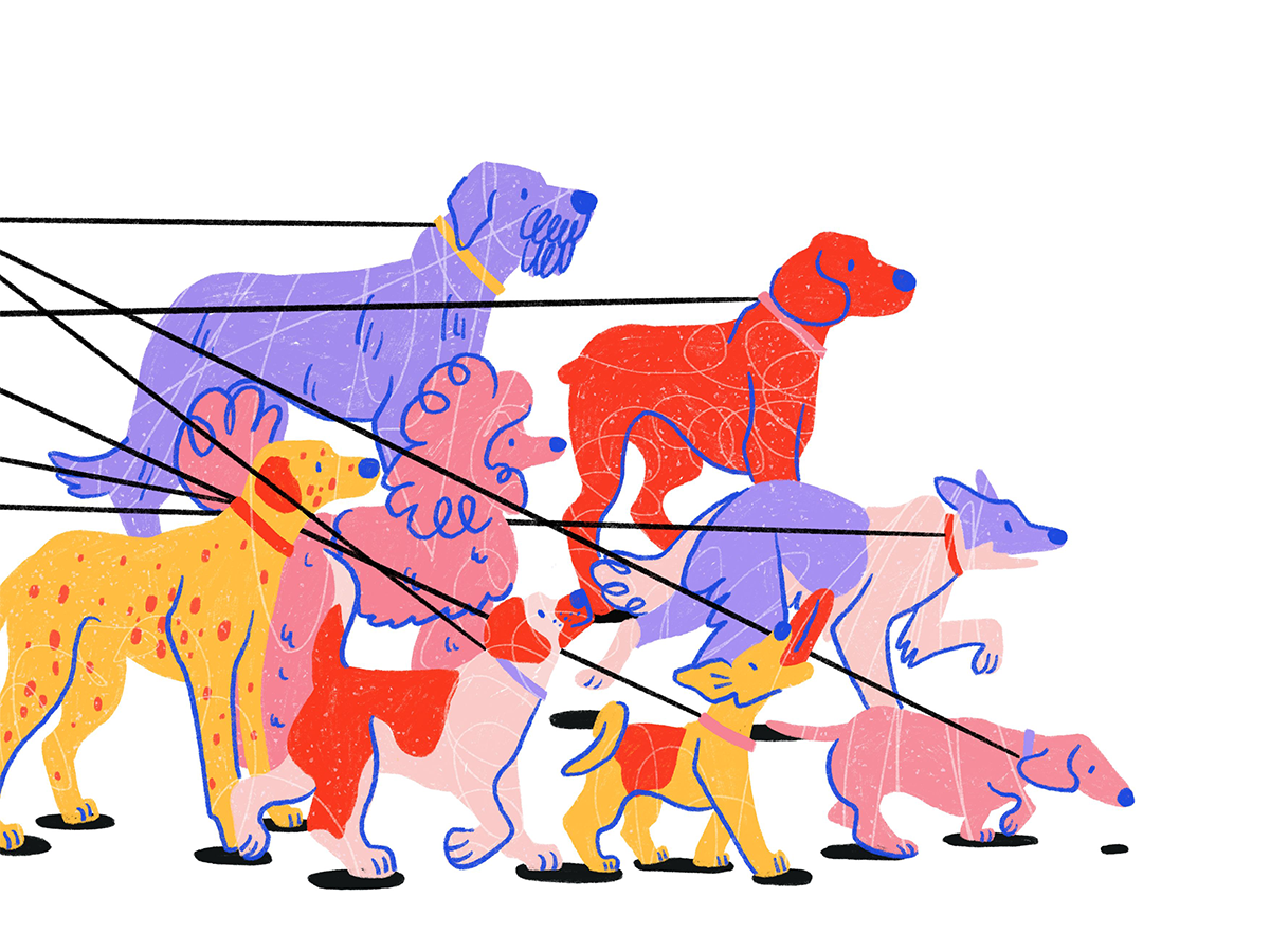 Illustration von mehreren Hunden in leuchtenden Farben, die zusammen spazieren gehen.