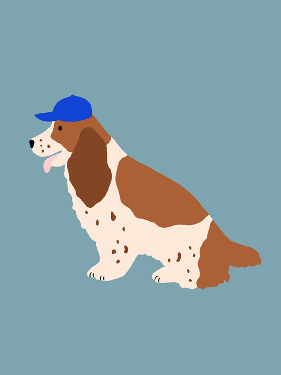 Illustration eines Hundes mit braunem Fell und blauer Mütze vor blauem Hintergrund.