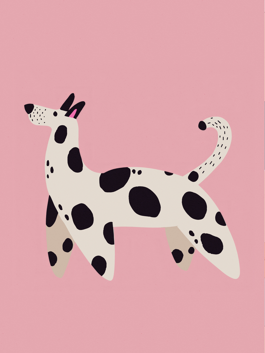 Dog on Pink Poster