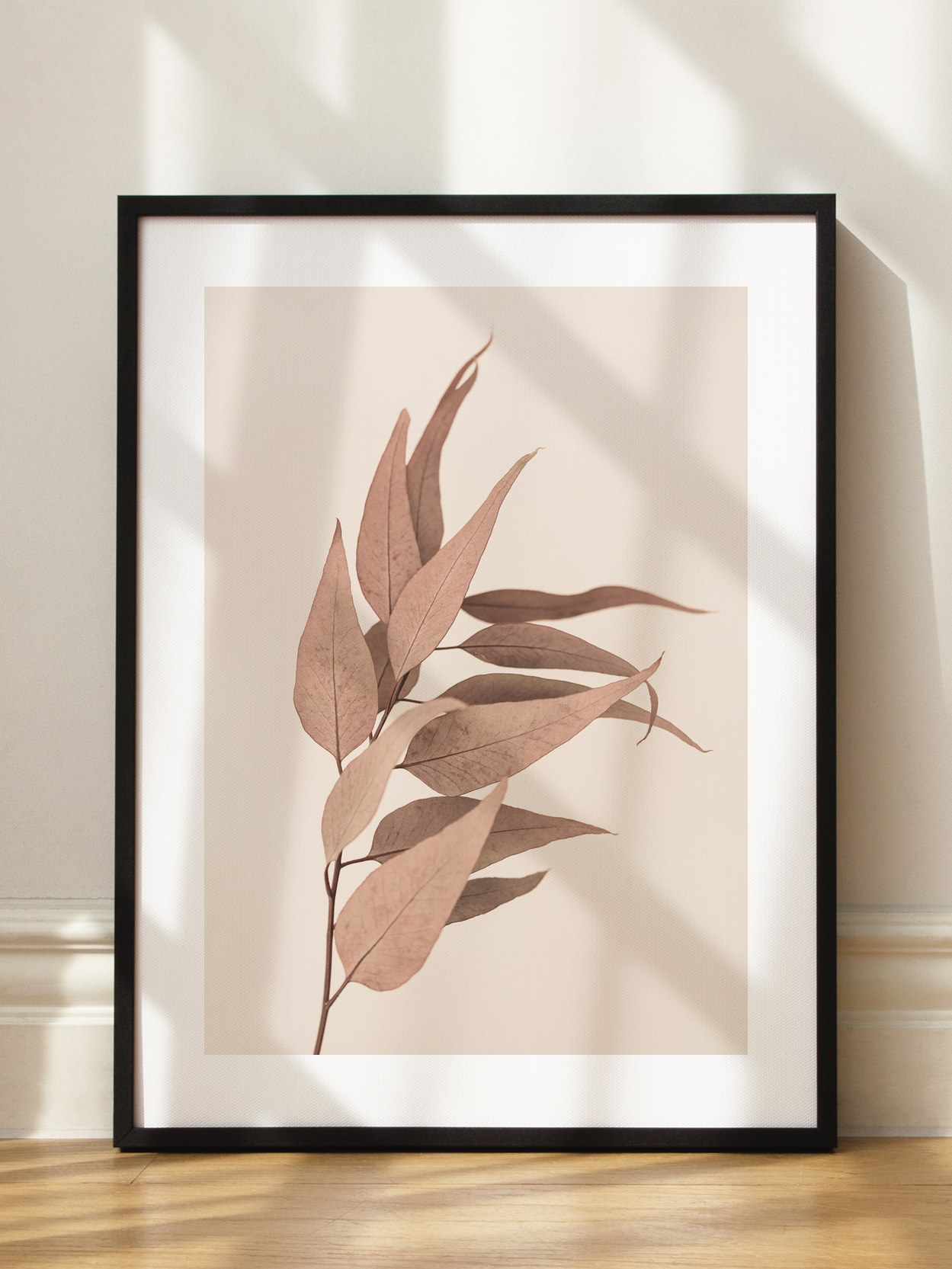Dried Eucalyptus Poster