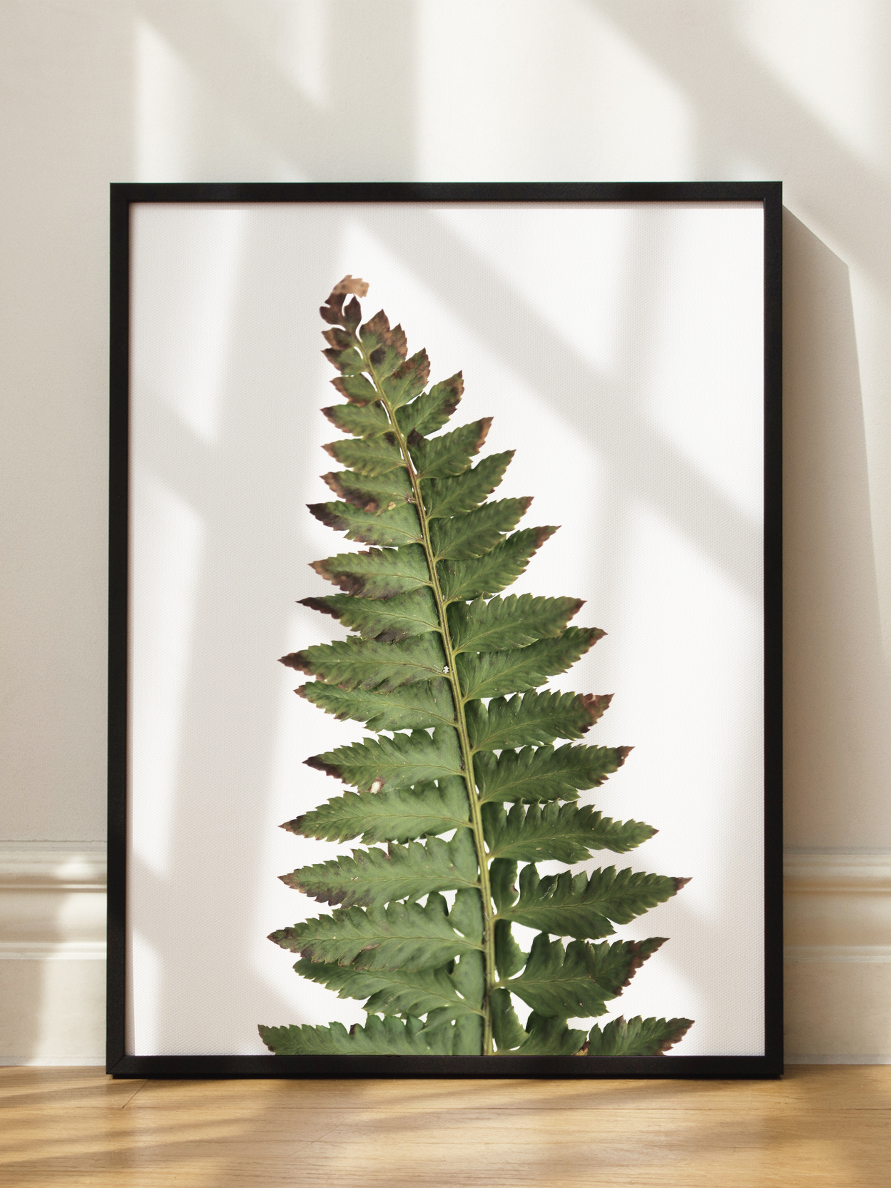 Dried Fern Poster