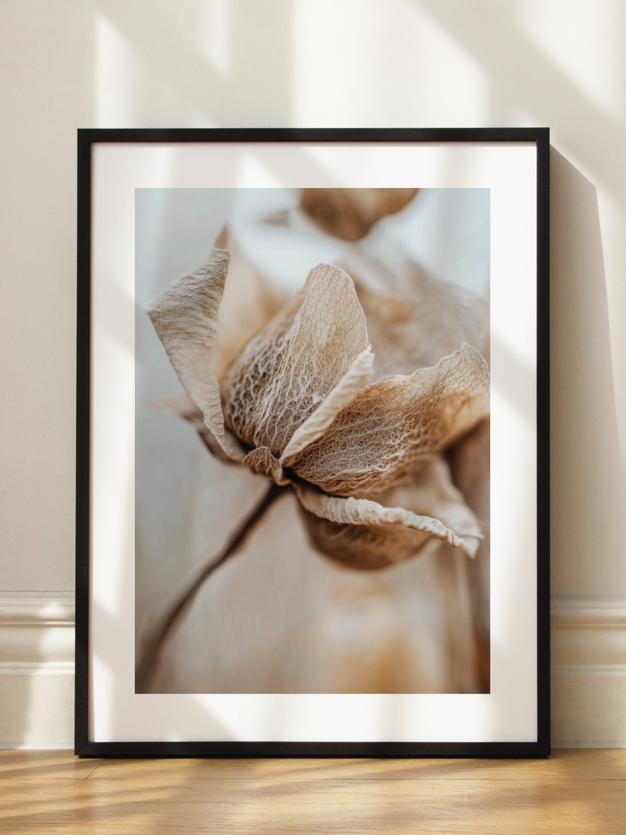 Dried Flower Close Up Poster