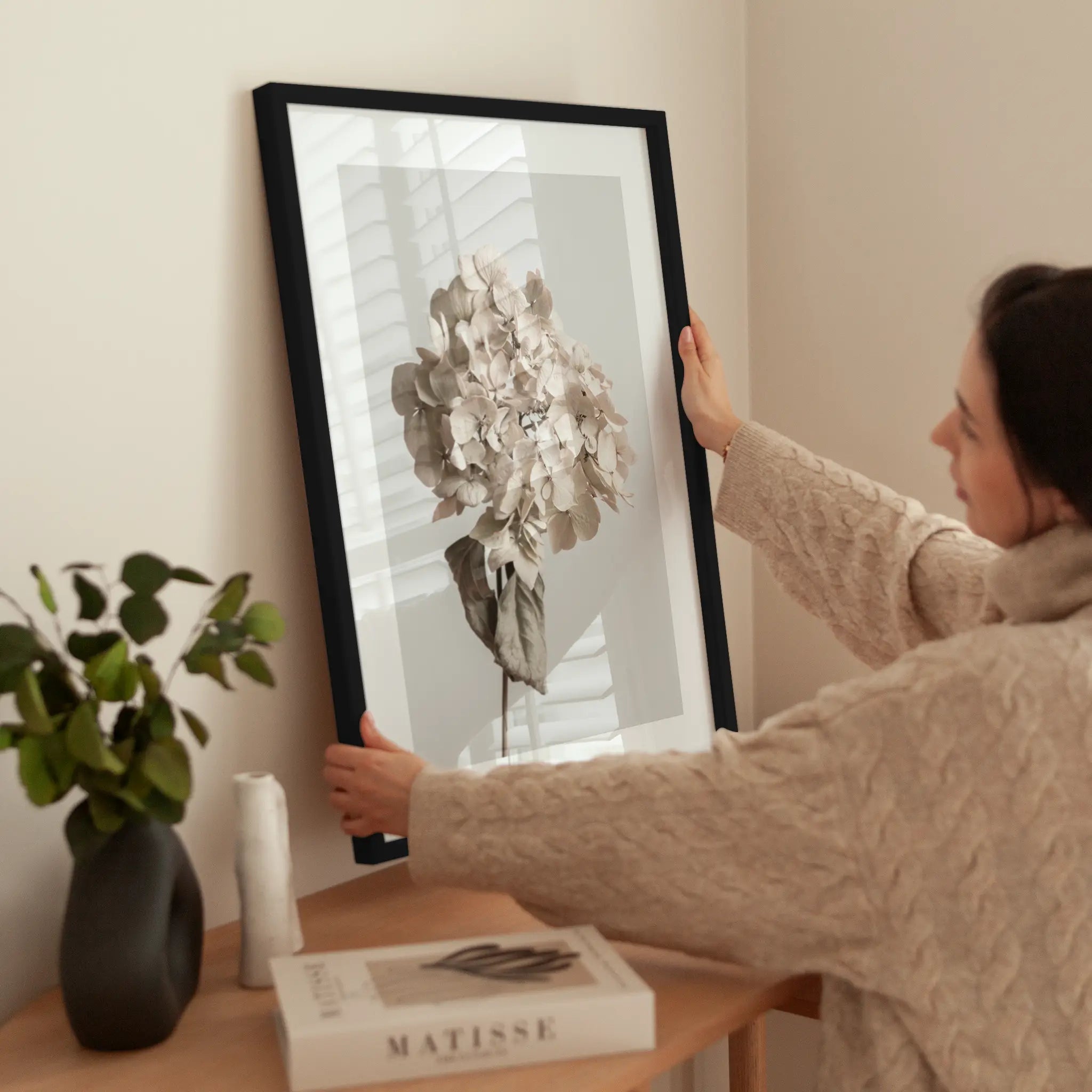 Dried Hydrangea wird aufgehängt