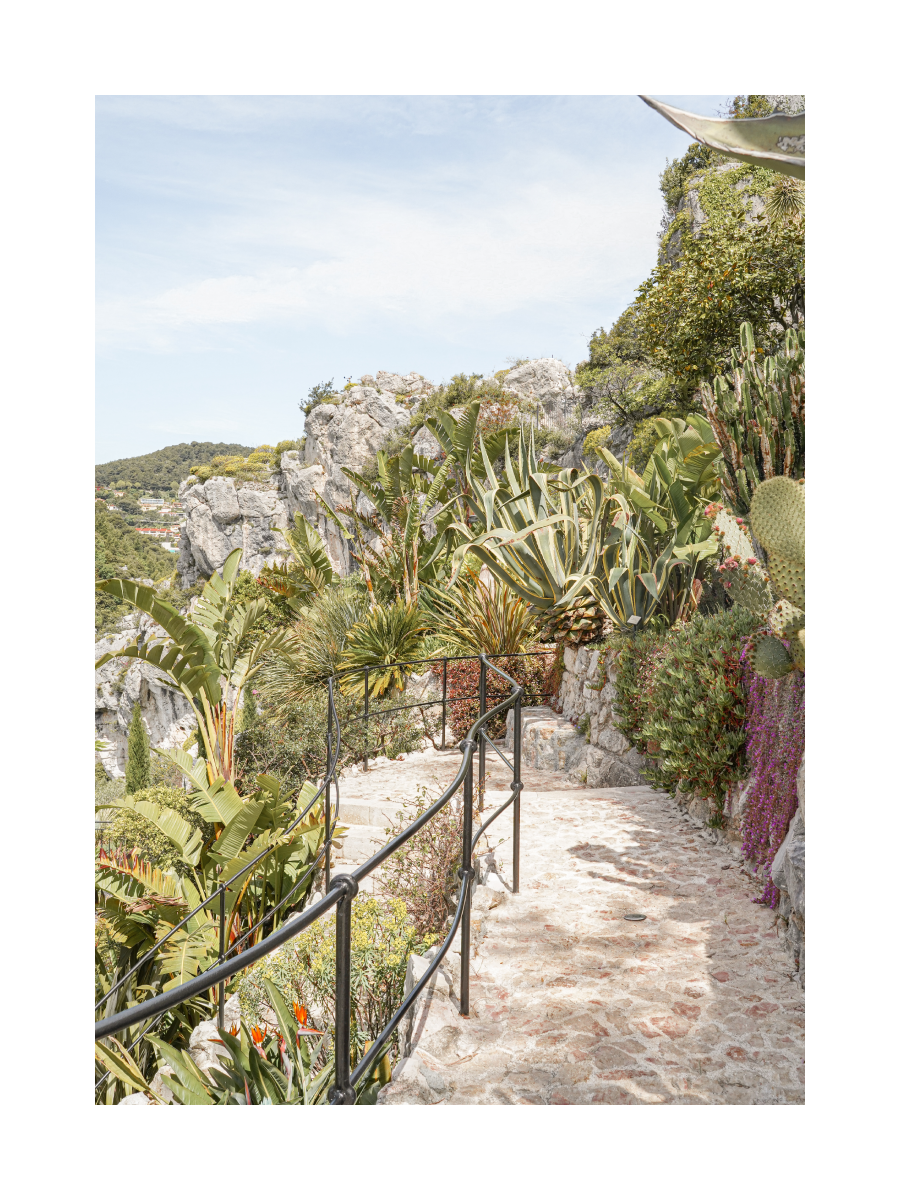 Exotic Garden Poster