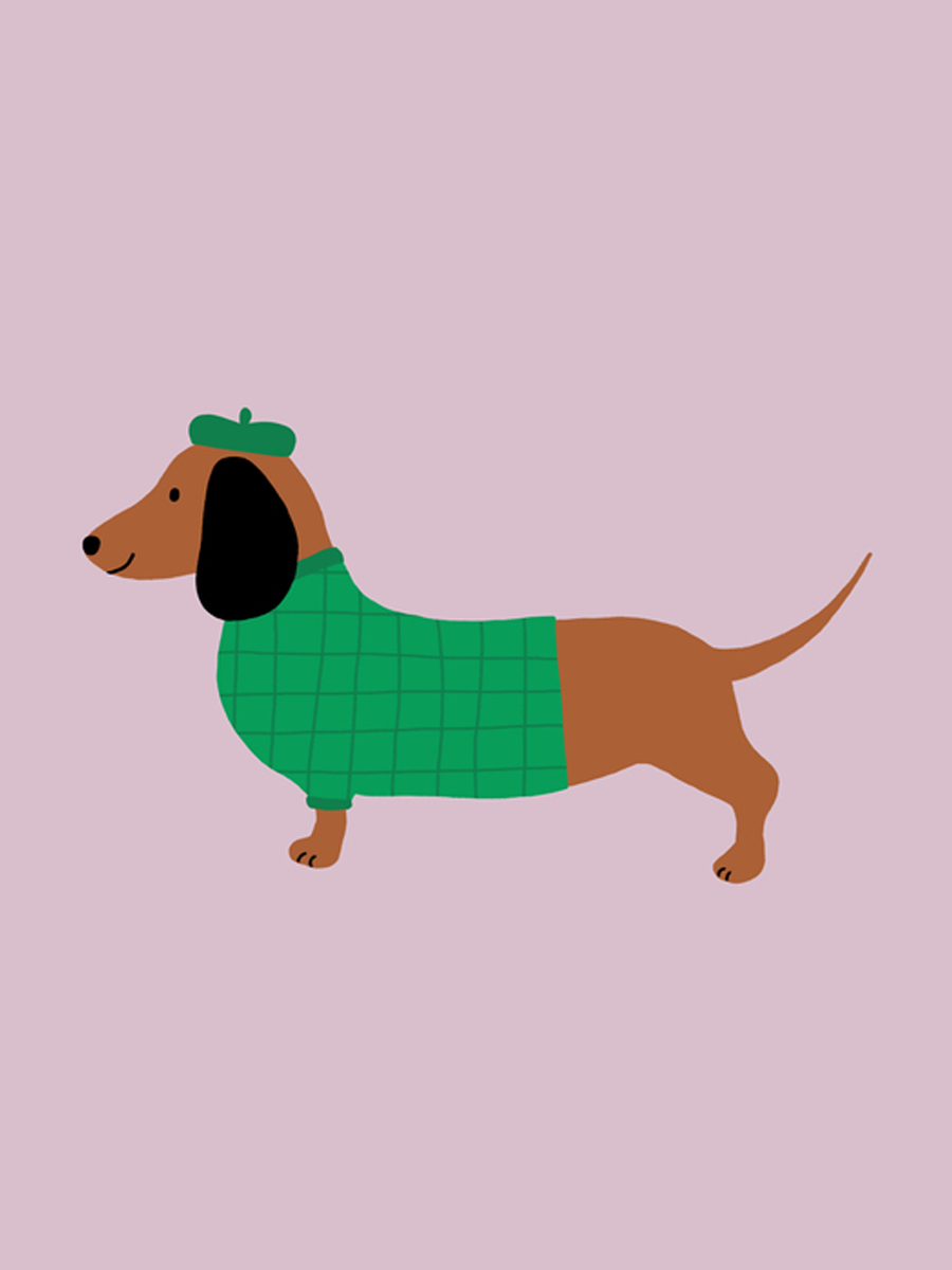 Illustration eines Dackels in einem grünen Pullover und einer grünen Mütze vor einem rosa Hintergrund.