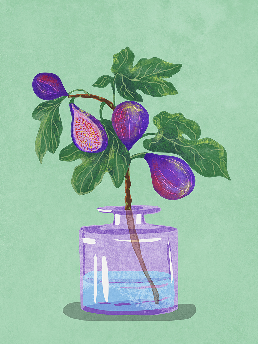 Illustration von lila Feigen und grünen Blättern in einer lila Vase auf grünem Hintergrund.