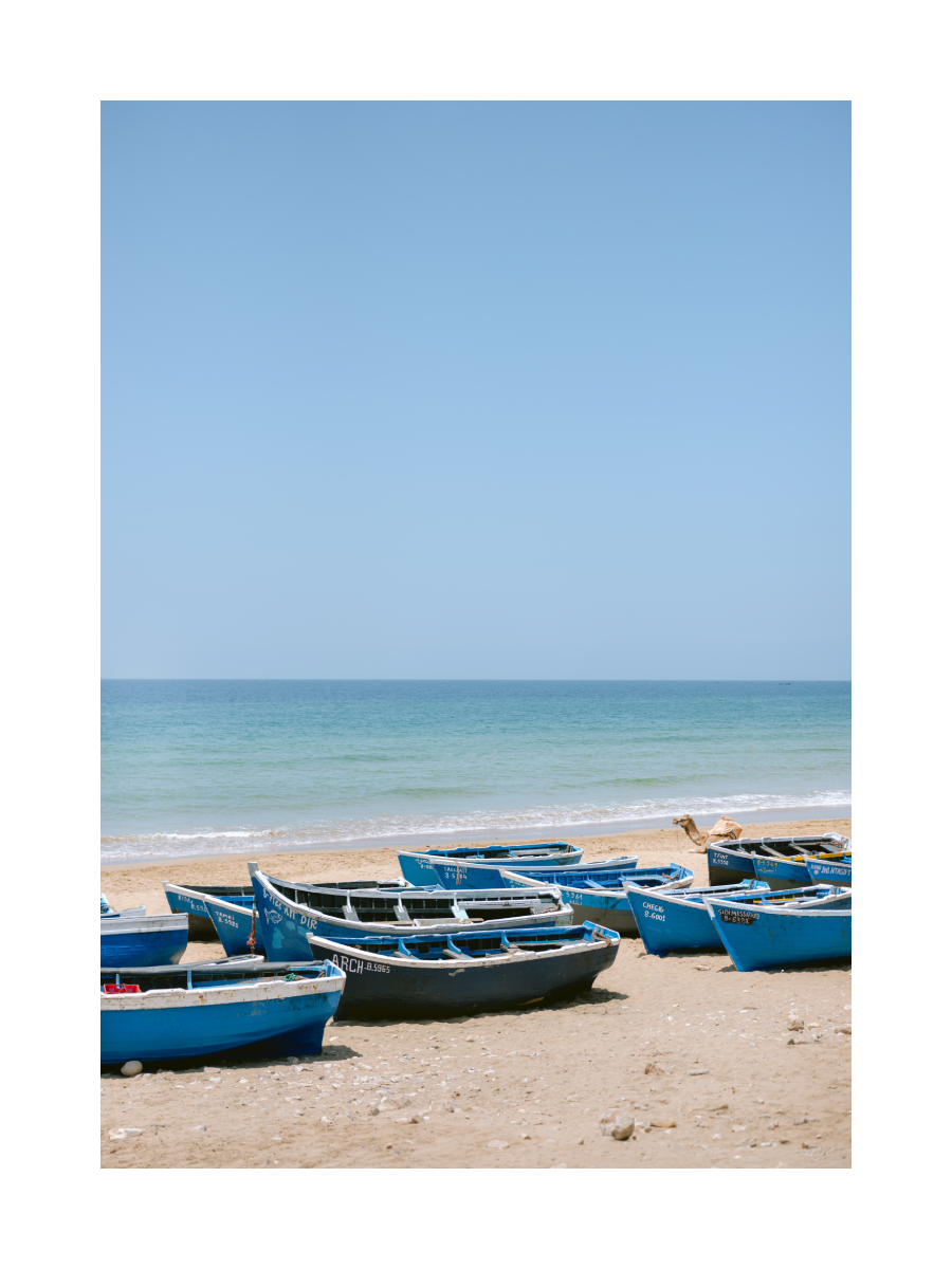 Fotografie von blauen Fischerbooten am Strand mit einem Kamel und dem Meer im Hintergrund.