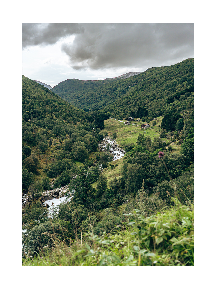 Landschaftsfotografie eines grünen Tals mit Bach und Häusern im Fjordland.
