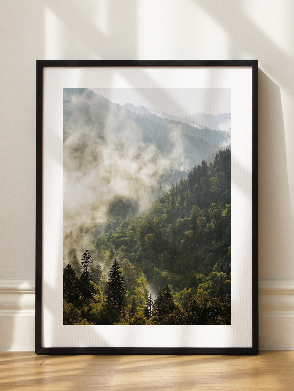 Forest Haze