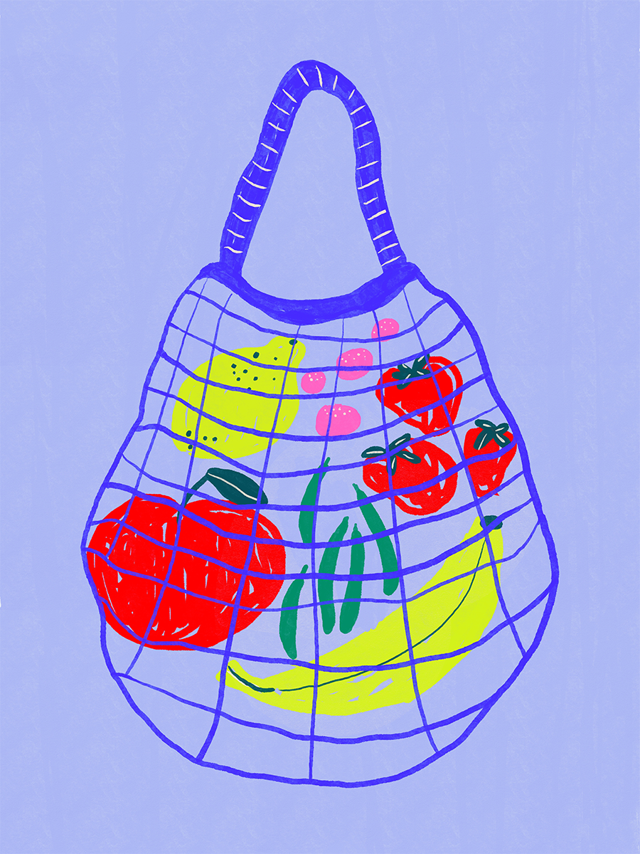 Illustration eines Netzbeutels mit bunten Früchten und Gemüse vor einem hellblauen Hintergrund.