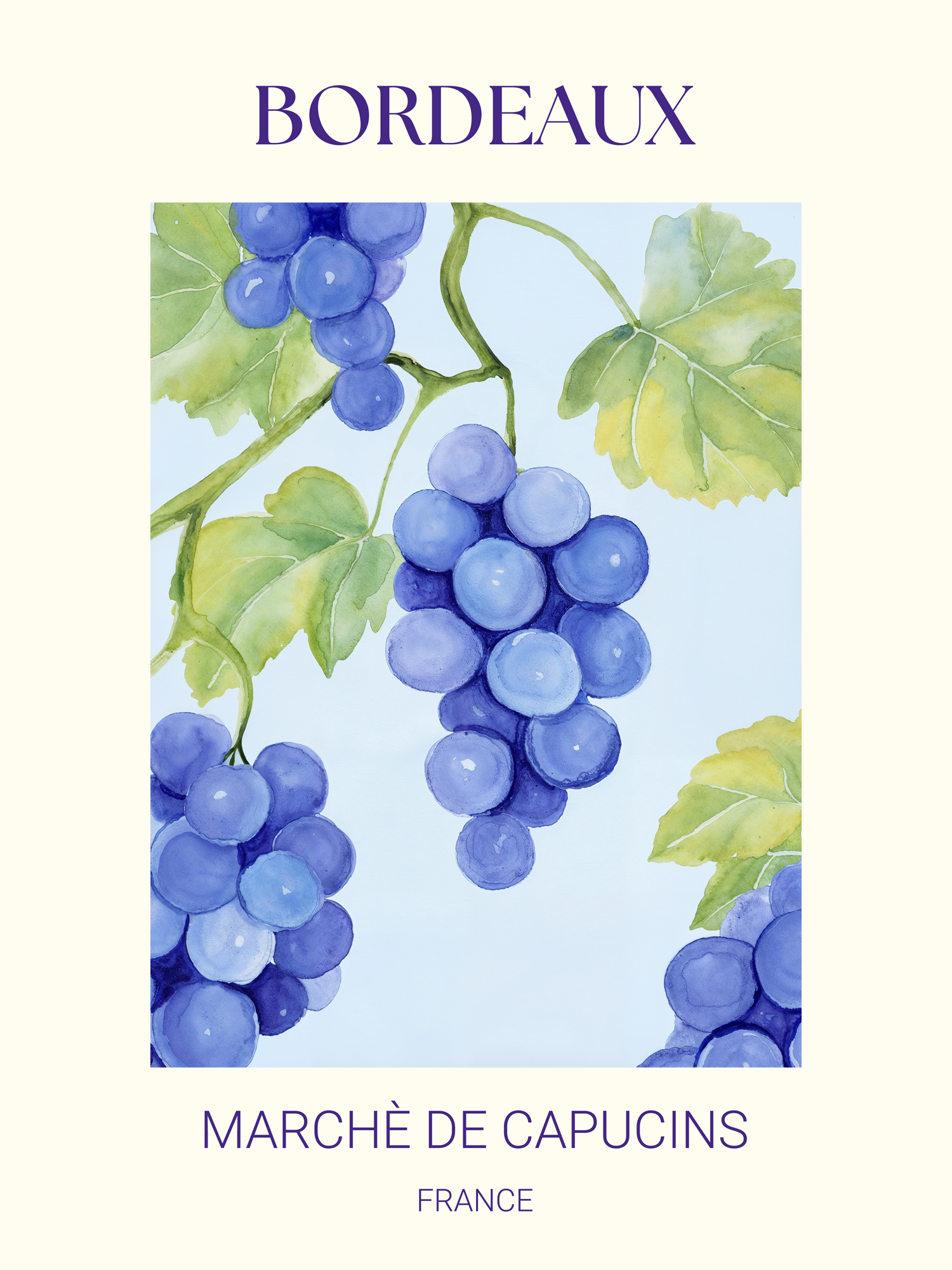 Poster mit violetten Trauben und grünen Blättern, mit den Worten "Bordeaux" und "Marché de Capucins France".
