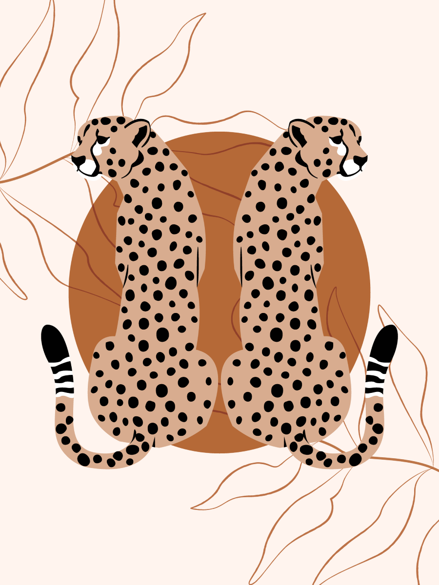 Graphic Cheetahs Poster
