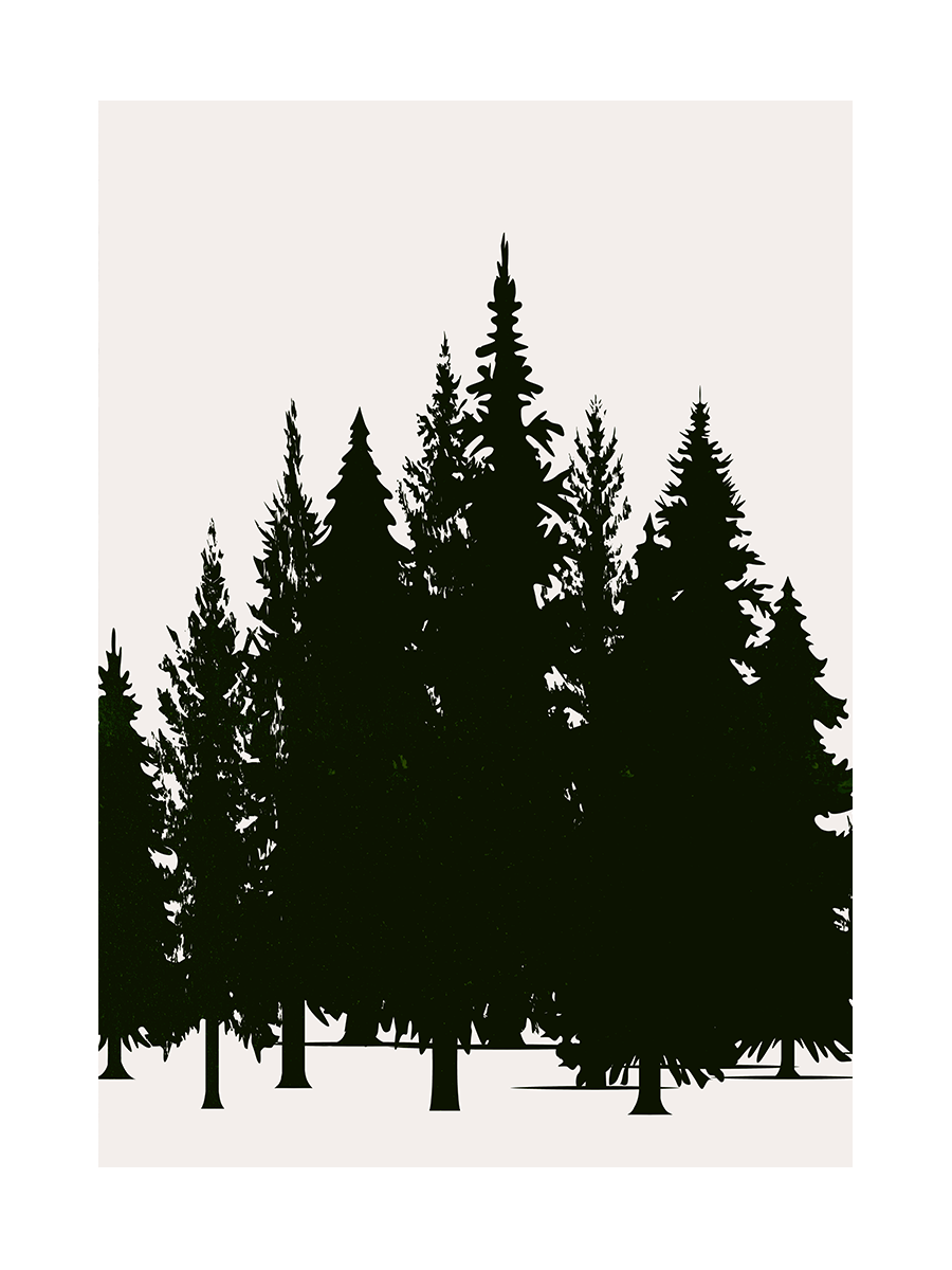 Graphic Conifer Poster