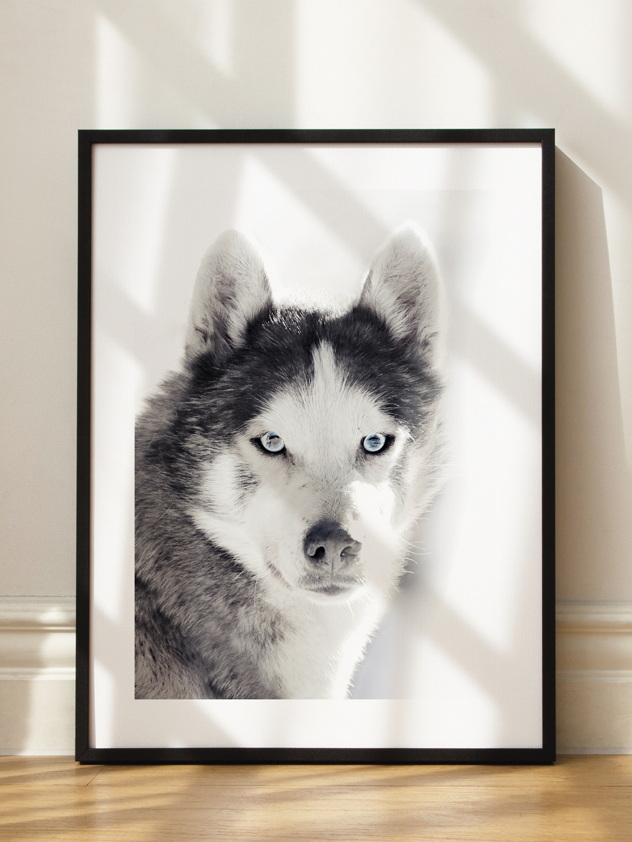 Husky Poster