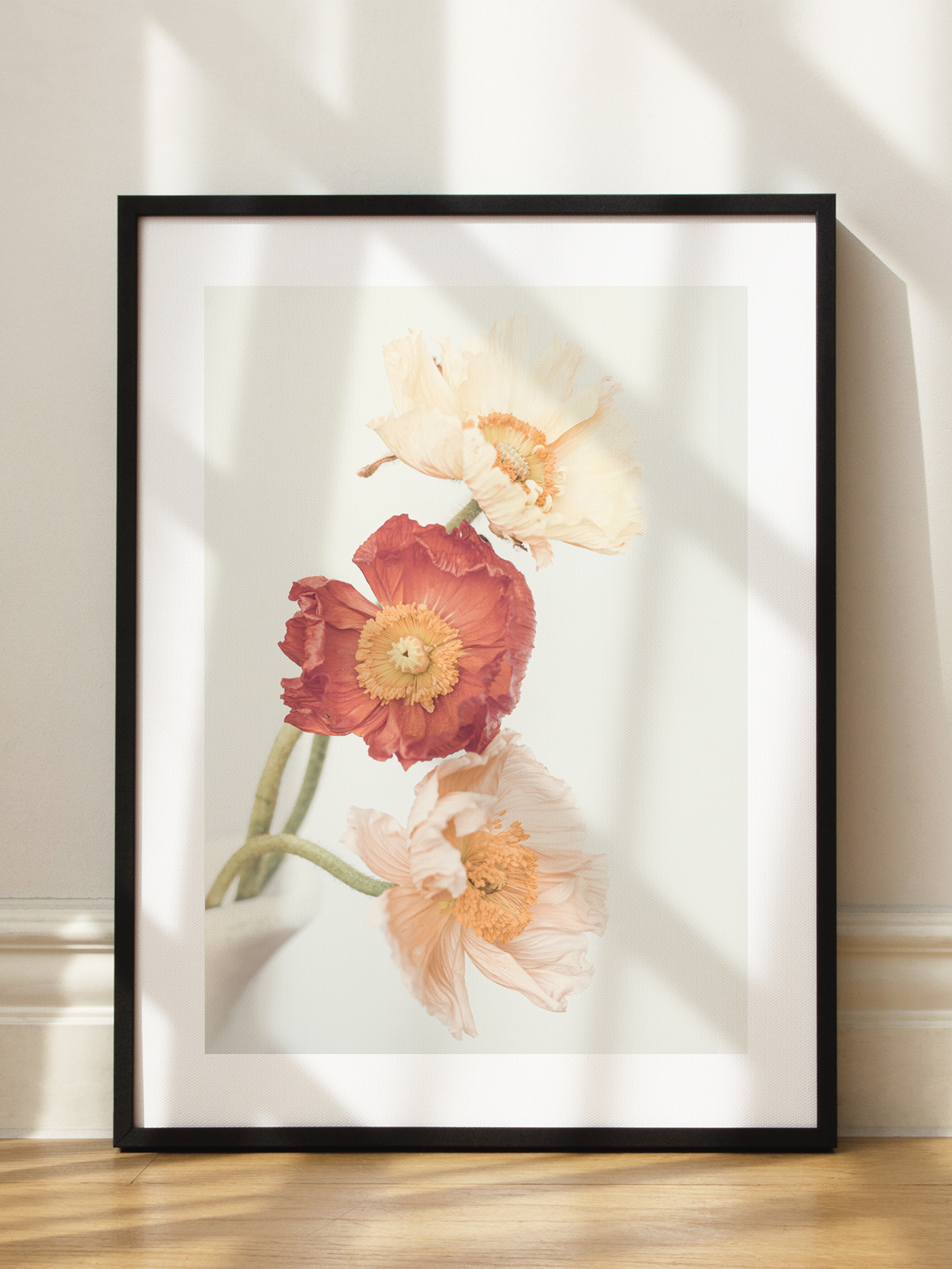 Icelandic Poppies Poster