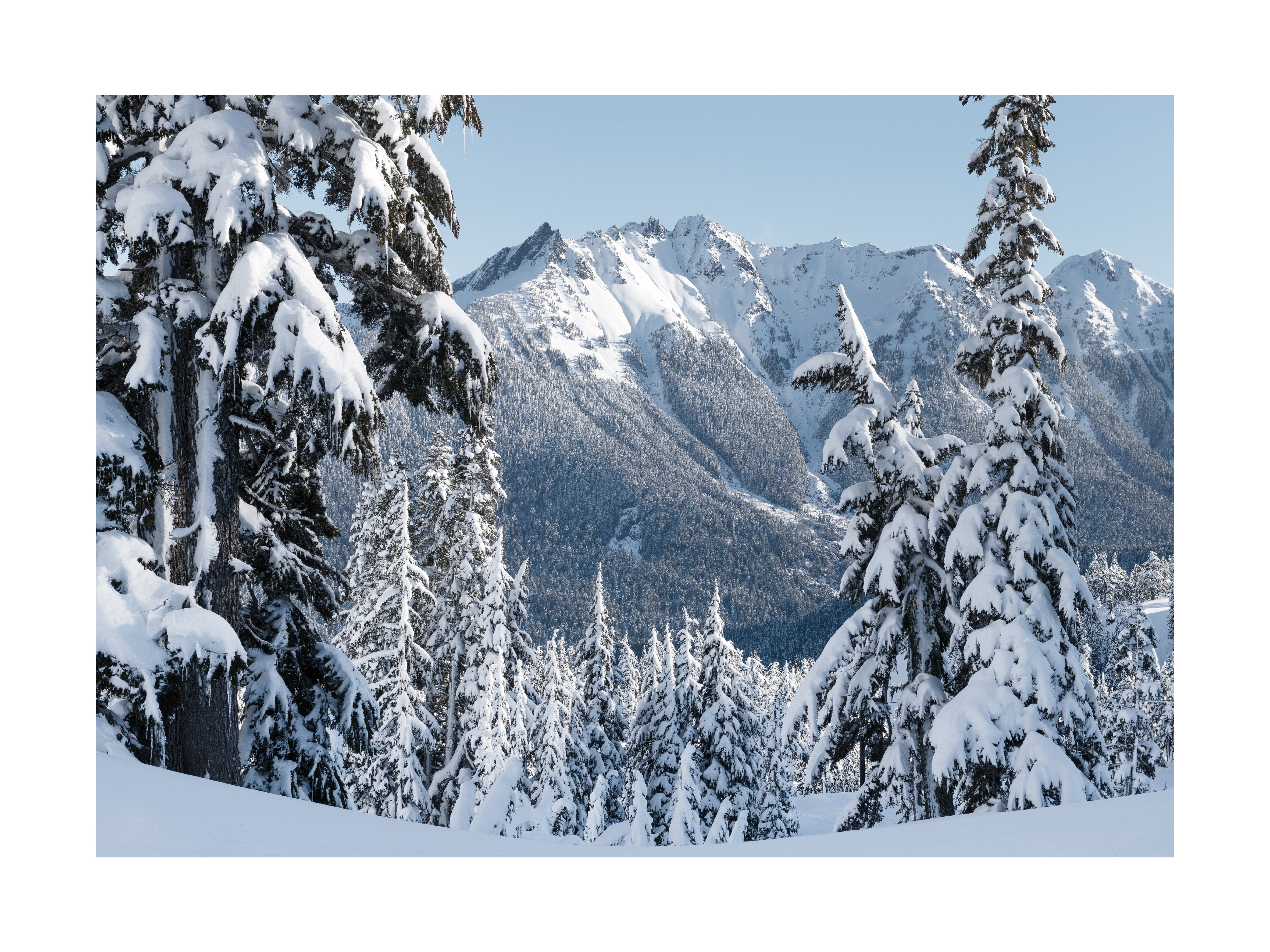 Verschneite Berglandschaft mit schneebedeckten Bäumen und Gipfeln.