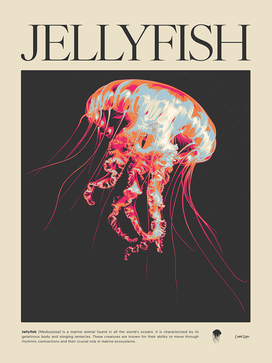 Jellyfish Poster