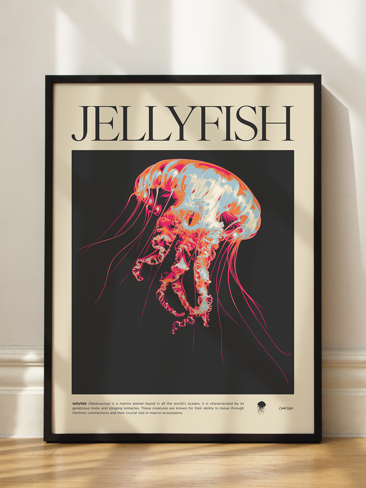 Jellyfish Poster