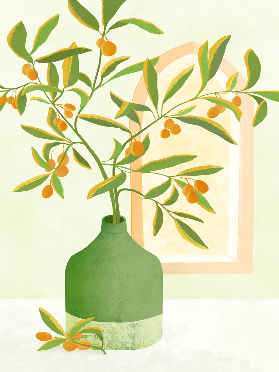 Illustration eines Kumquatbaums in einer grünen Vase vor einem Fenster.