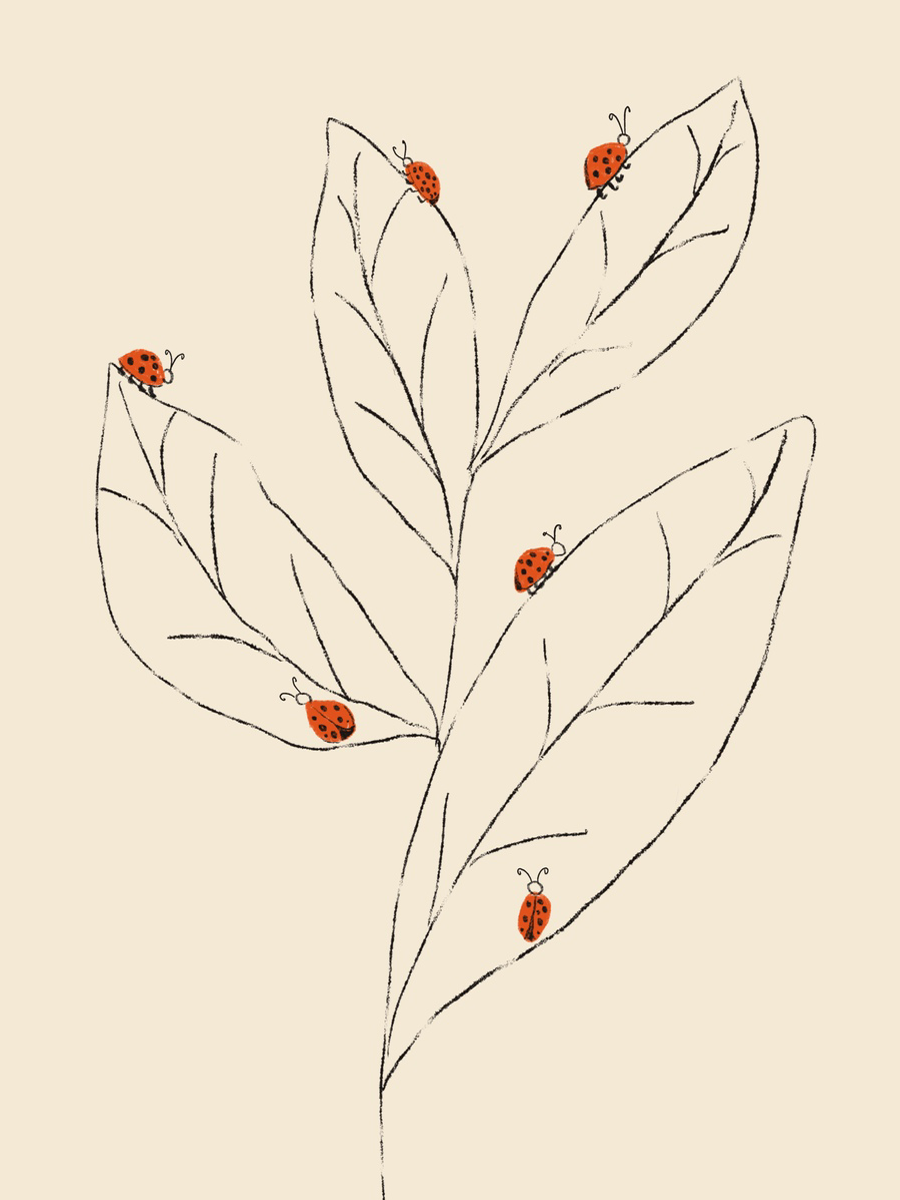 Ladybug Branch Poster