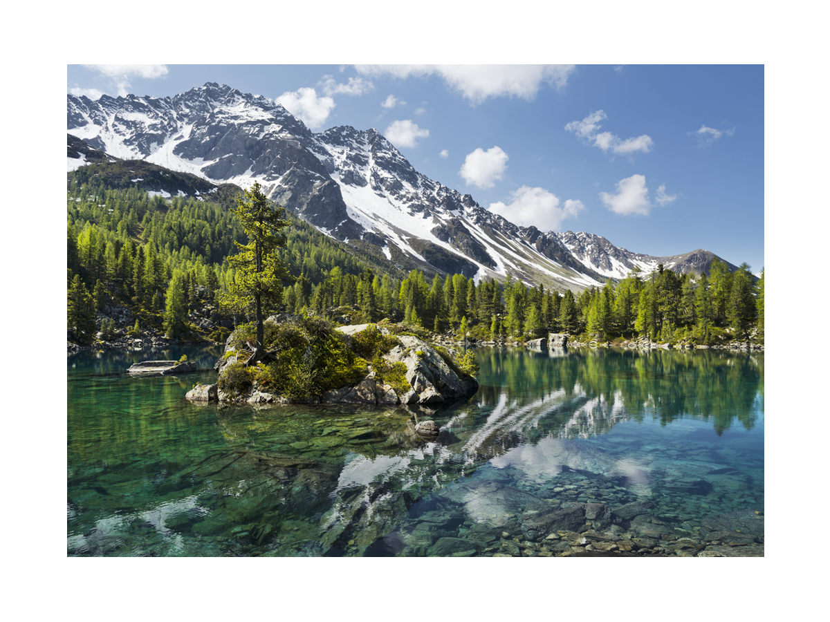 Fotografie des Sees Saoseo mit schneebedeckten Bergen und grünen Wäldern im Hintergrund.
