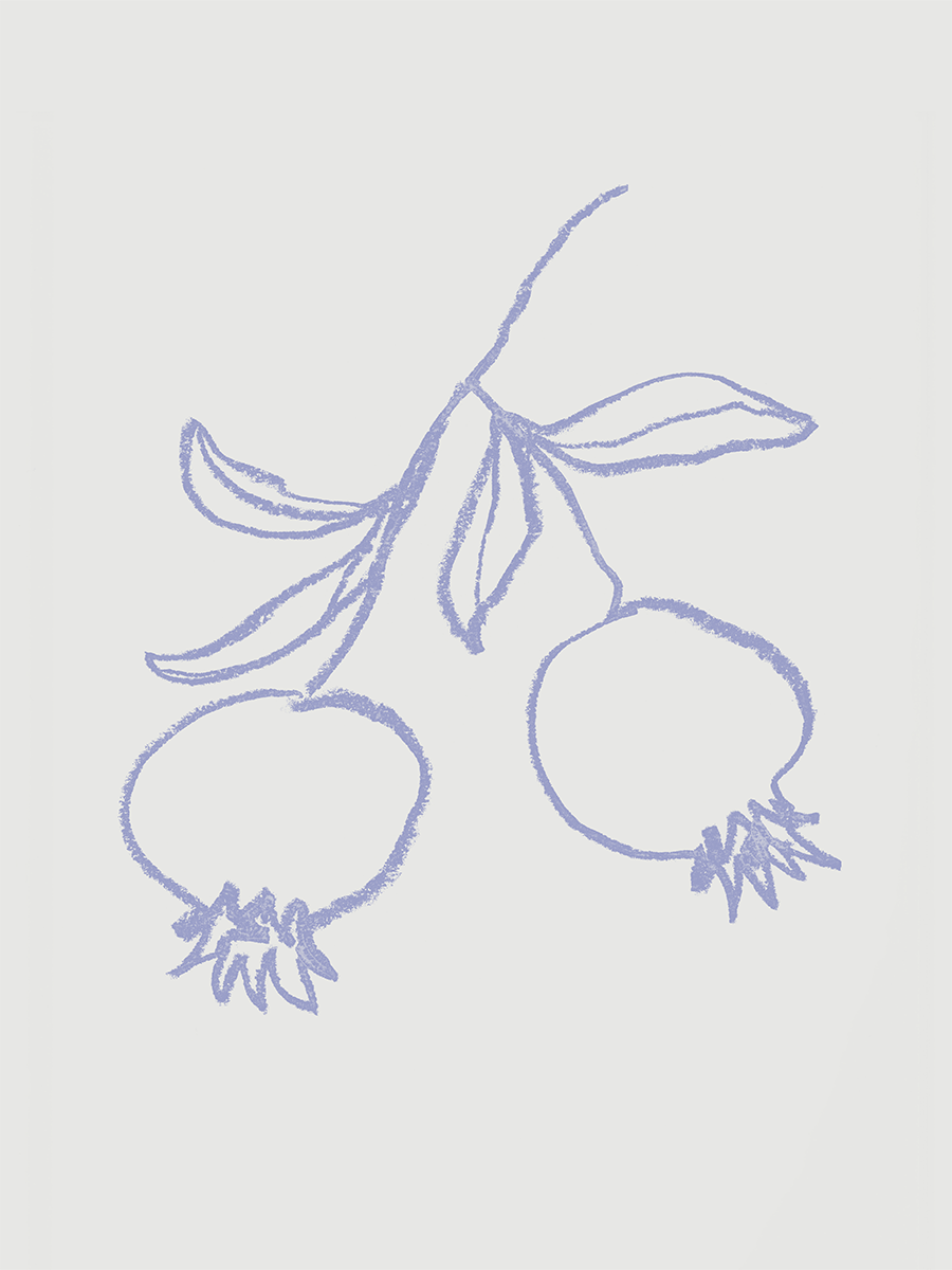 Lilac Pomegranates Poster