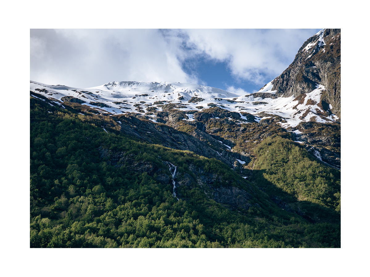 Fotografie der schneebedeckten Gipfel des Lysefjords in Norwegen mit grünen Wäldern im Vordergrund.