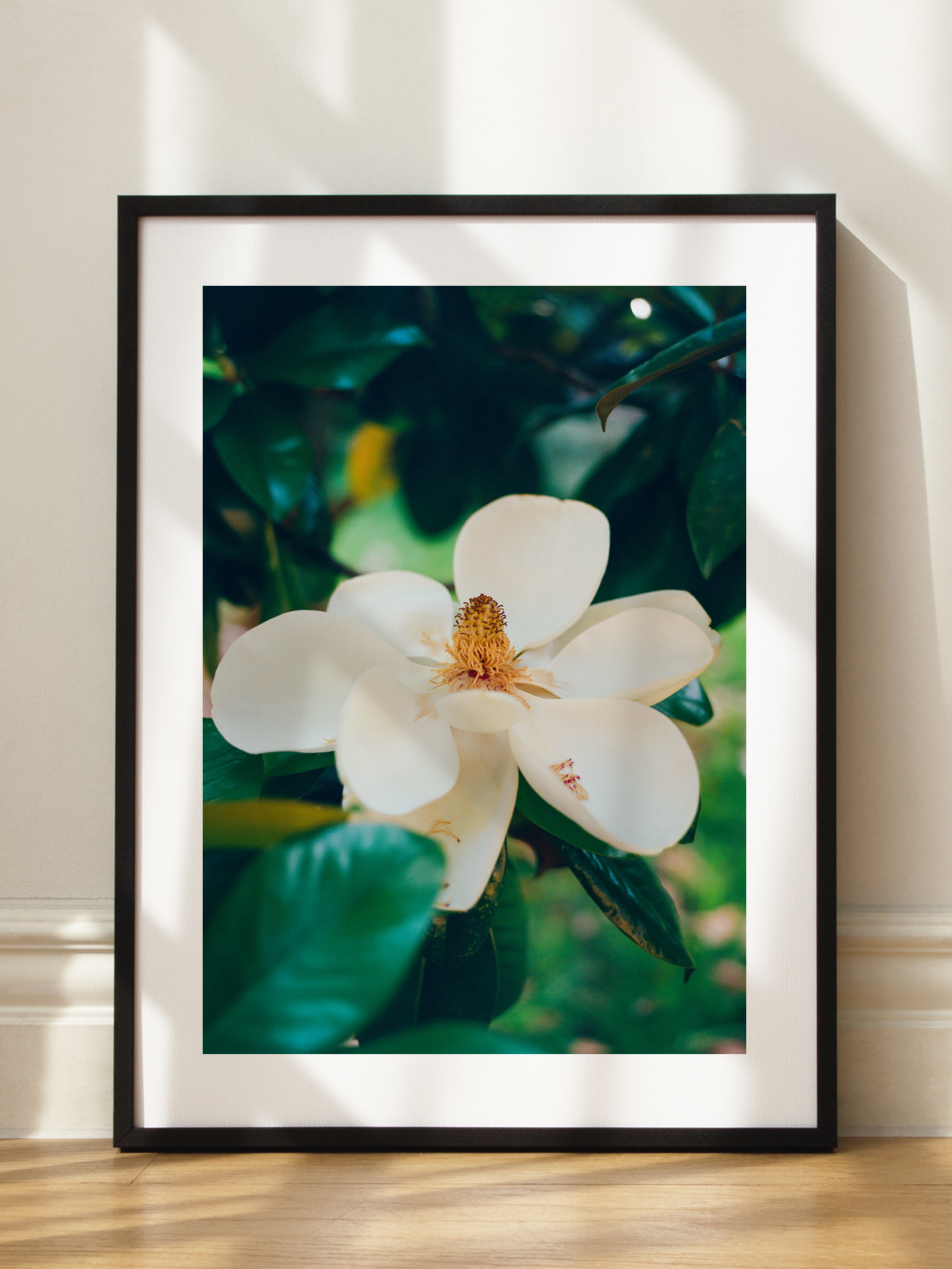 Magnolia Bloom No1 Poster