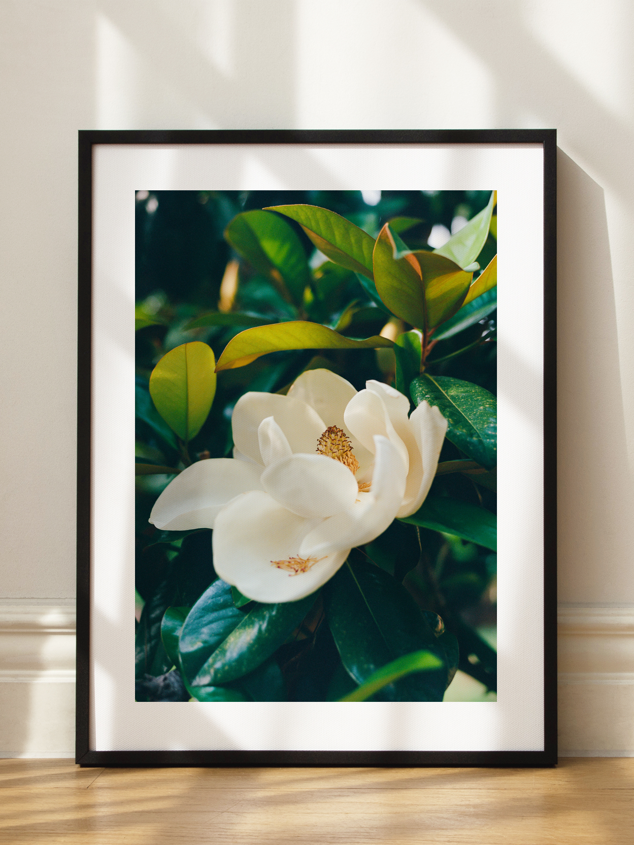 Magnolia Bloom No2 Poster