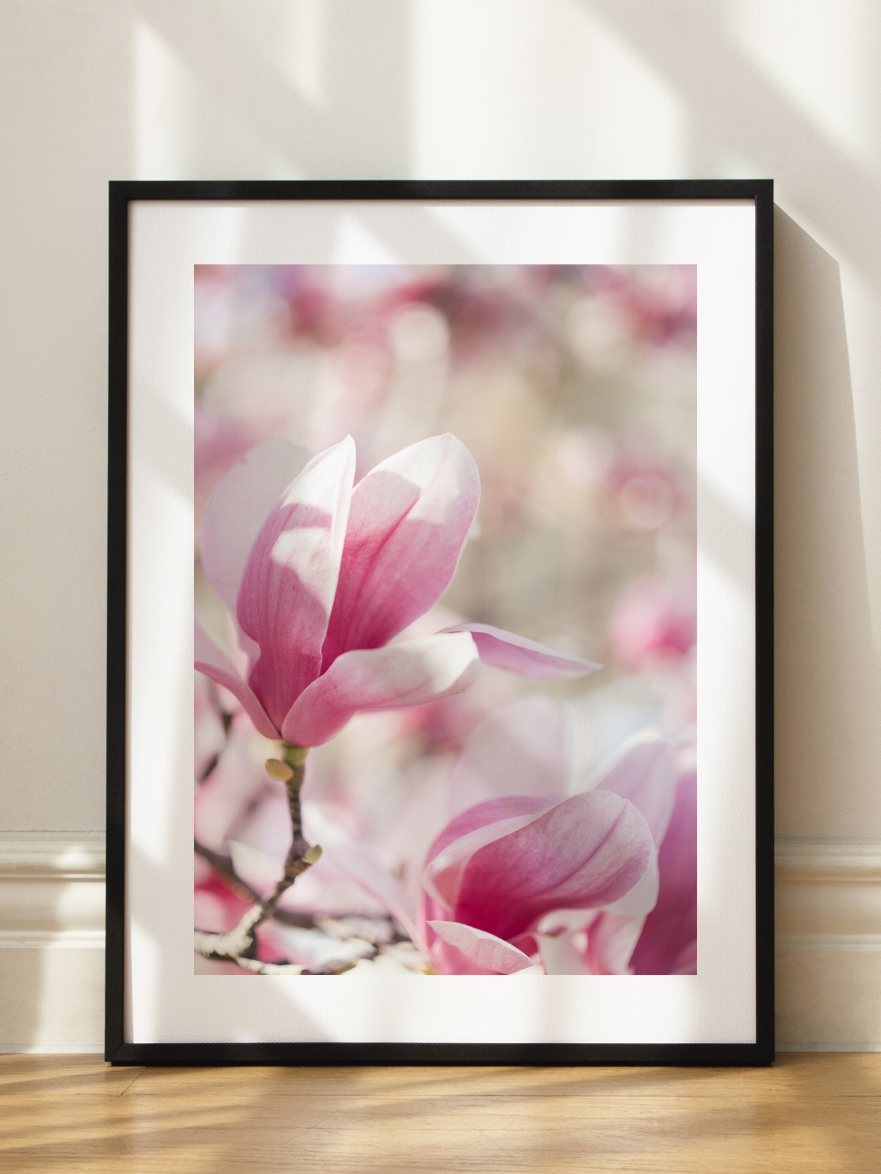 Magnolia Blossom Poster