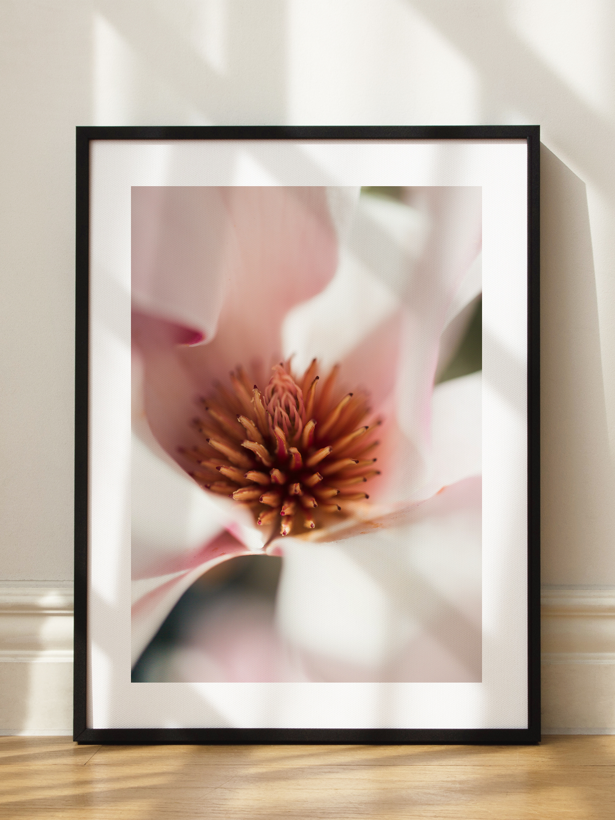 Magnolia Blossom Close Up Poster