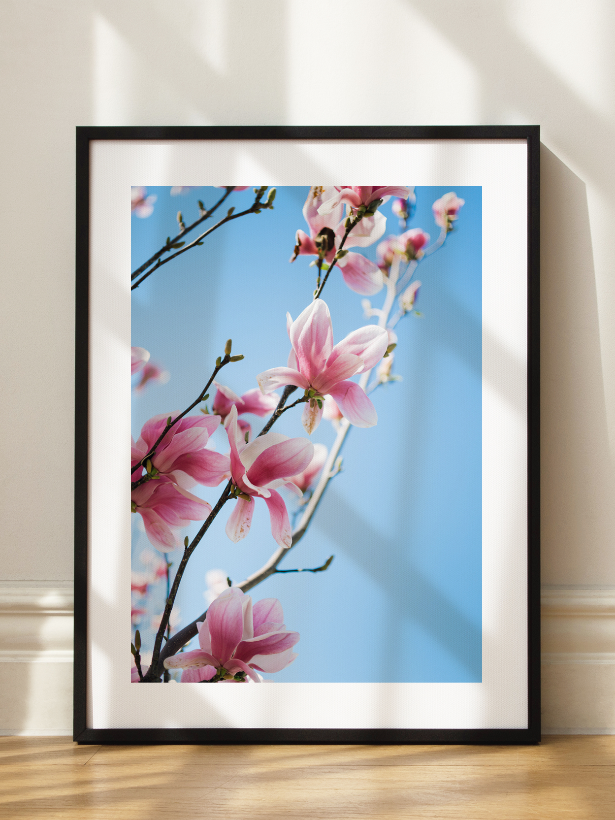Magnolia Sky