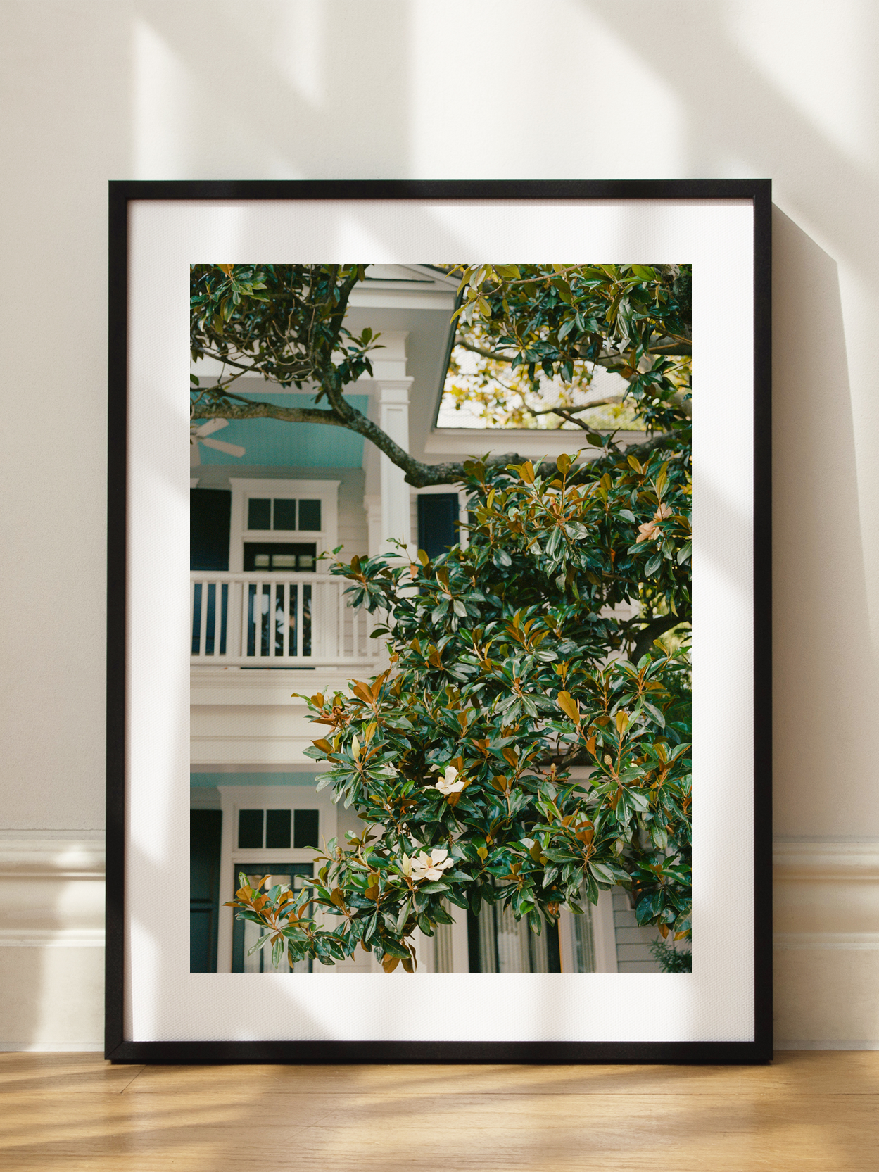 Magnolia Tree Poster