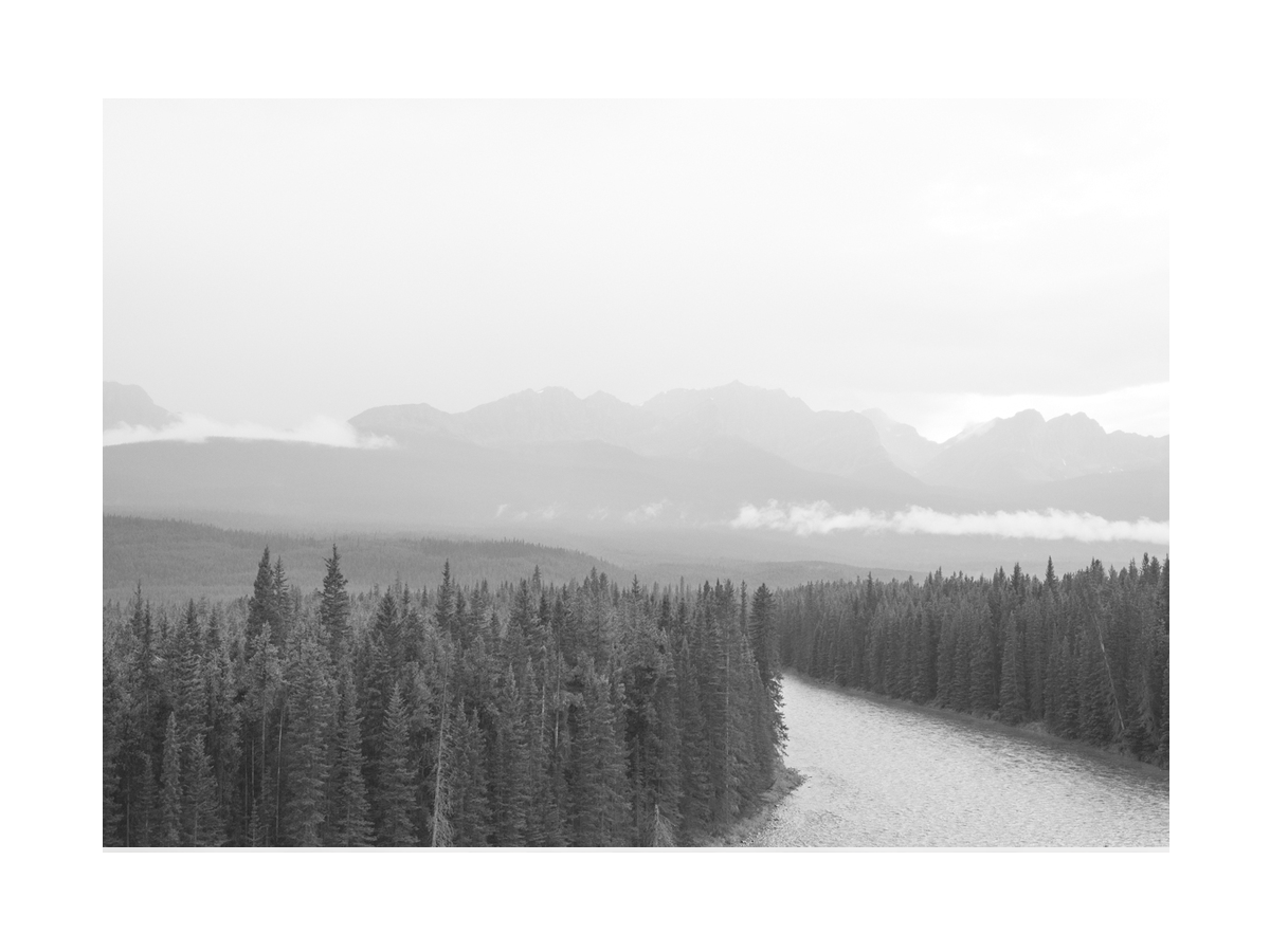 Mist Over Forest River Poster