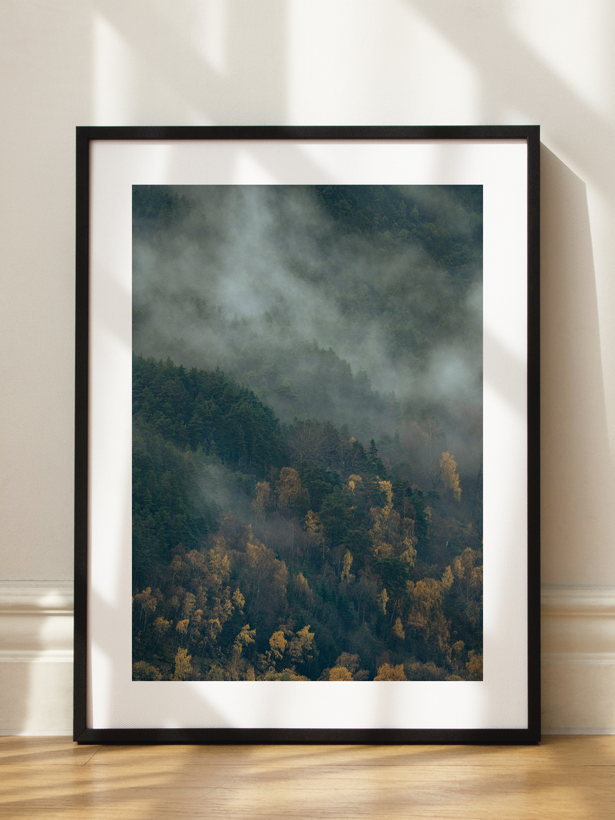 Misty Forest No4