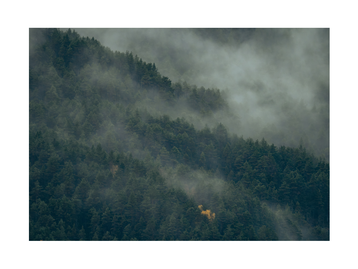 Fotografie eines nebligen Waldes in den Bergen.