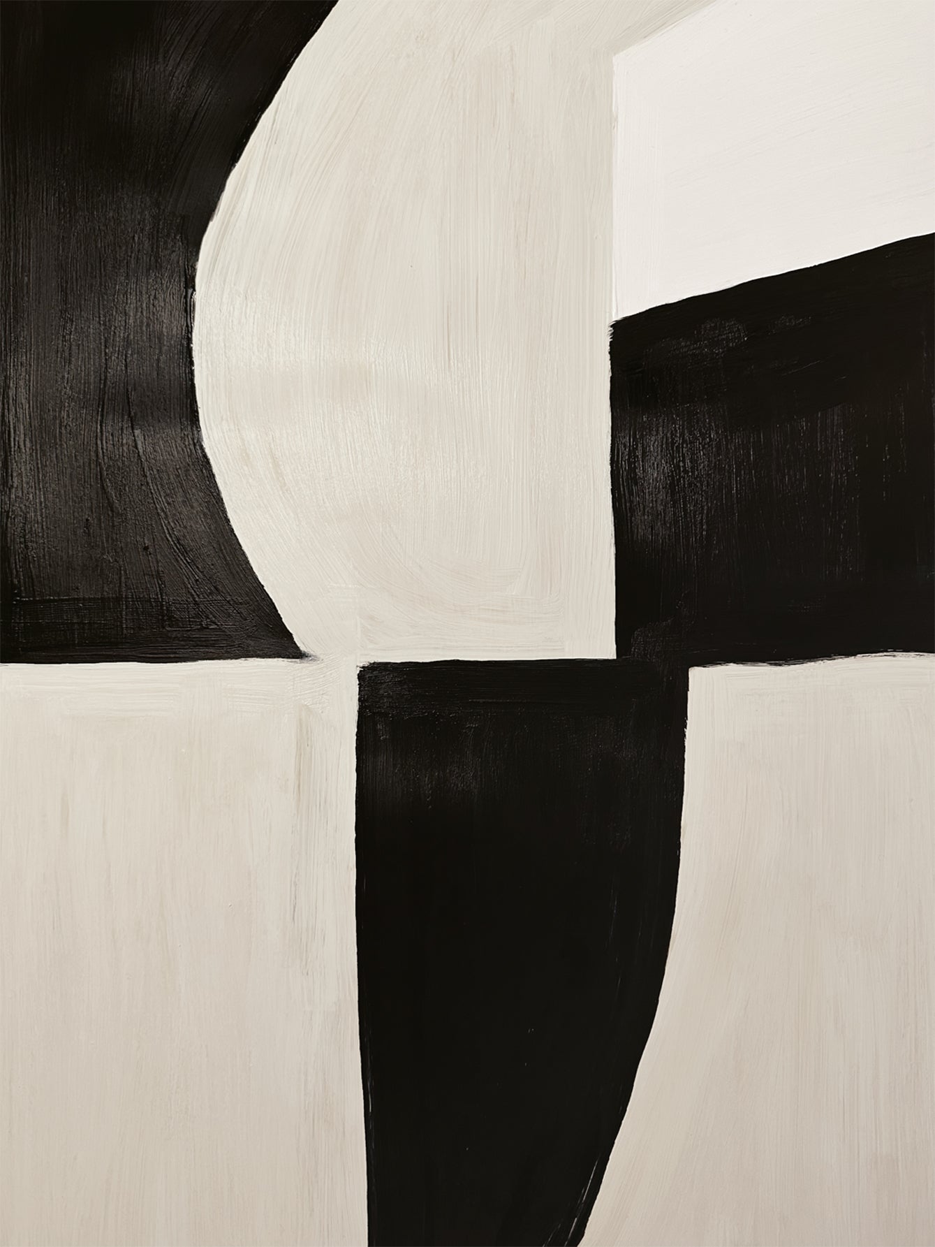 Monochrome Fusion Poster