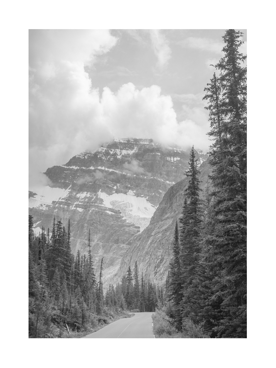 Schwarz-weiß-Fotografie einer Straße durch einen Wald mit einem Berg im Hintergrund.