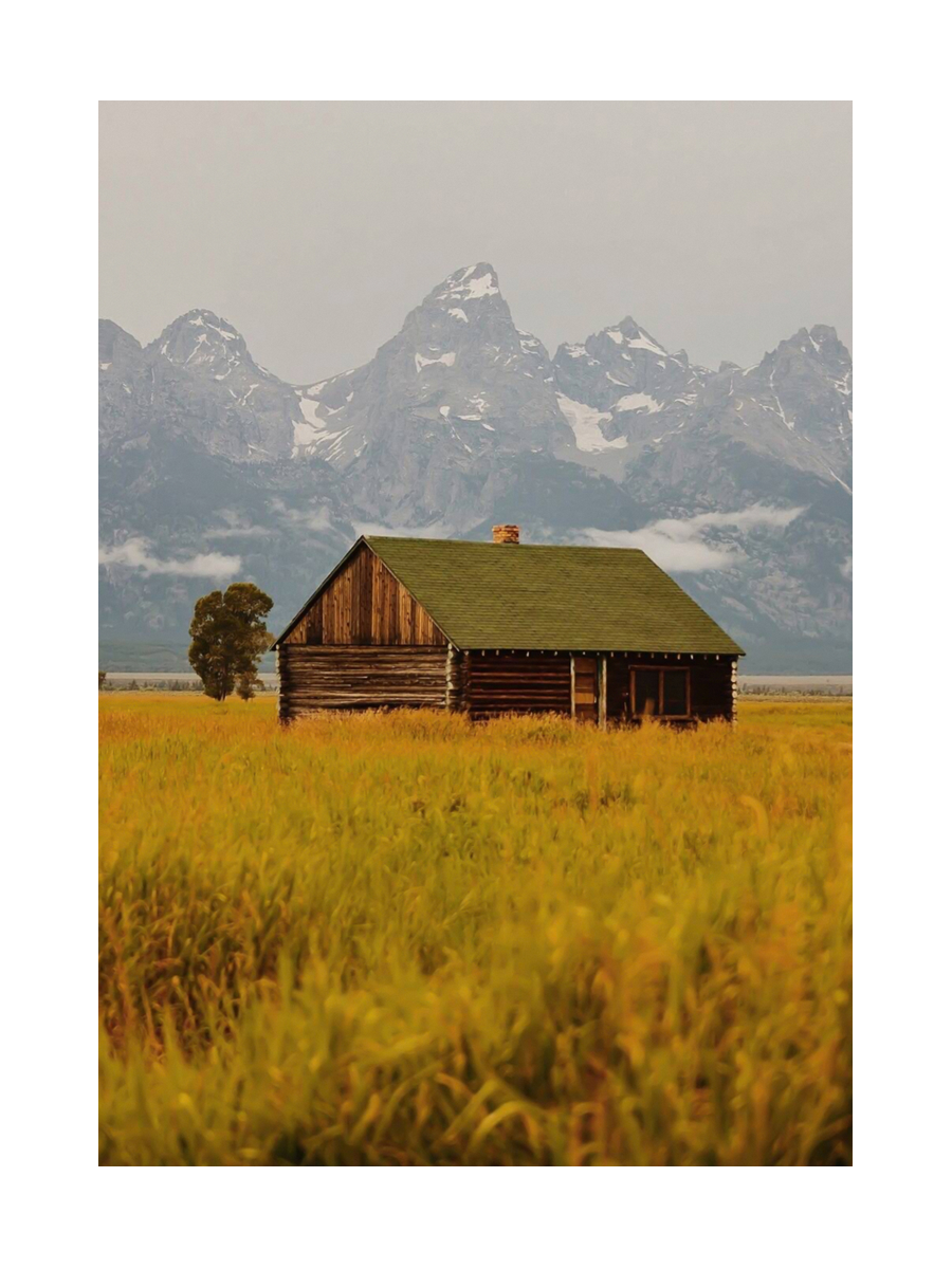 Fotografie einer Holzhütte in einem gelben Feld mit Bergen im Hintergrund.
