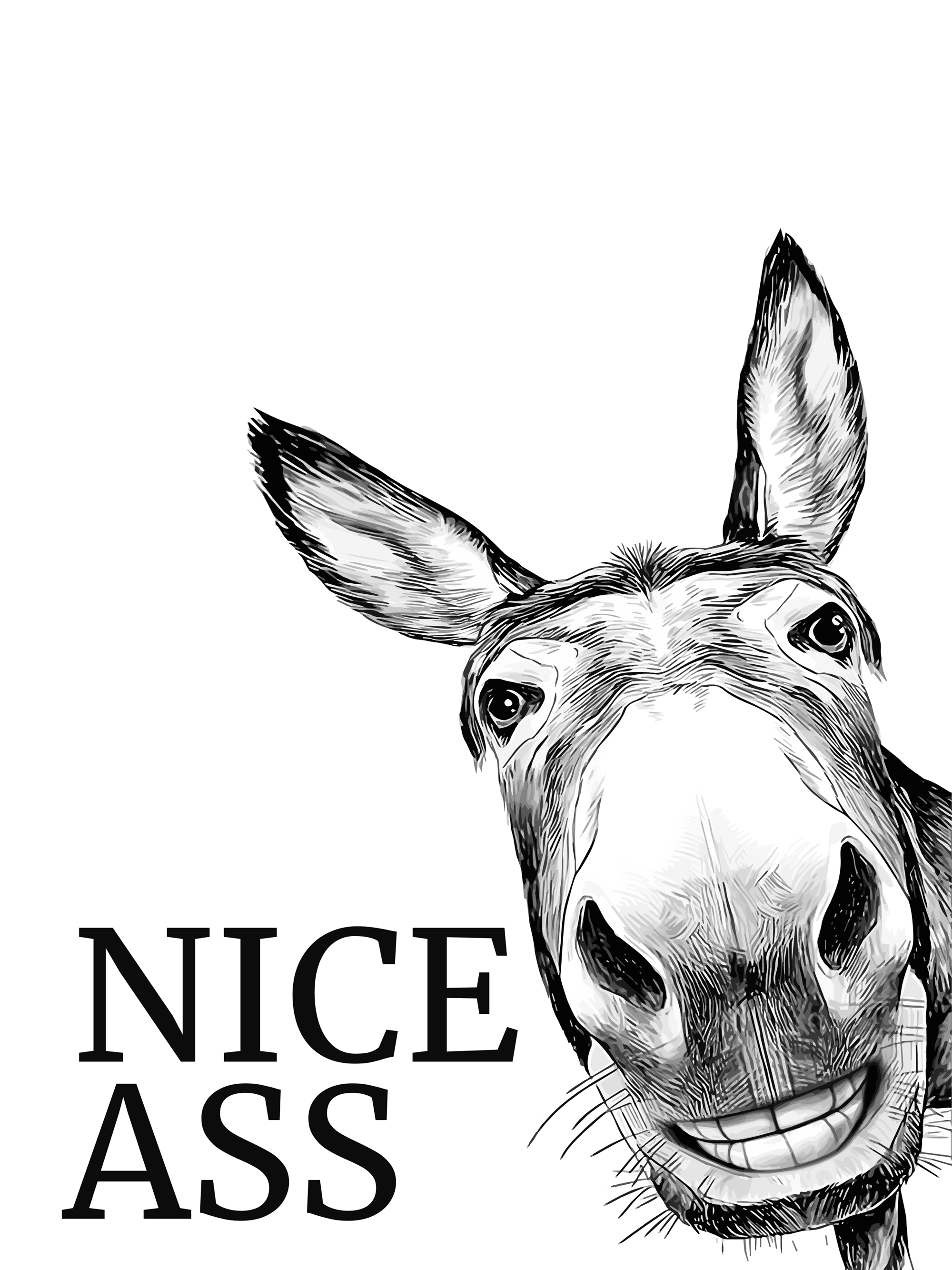 Illustration eines Esels mit dem Text "Nice ass".