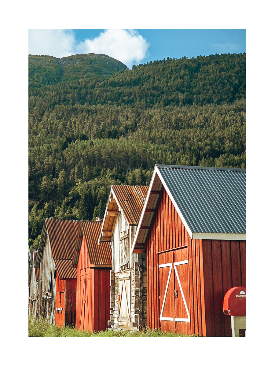 Fotografie von roten Scheunen vor einer grünen Landschaft in Norwegen.