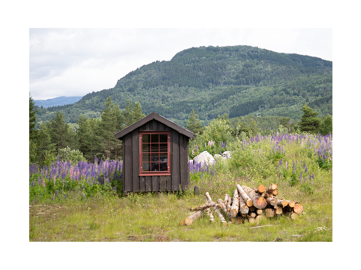 Fotografie eines kleinen Holzhauses mit Holzstapel, umgeben von grünen Bäumen und Bergen in Norwegen.