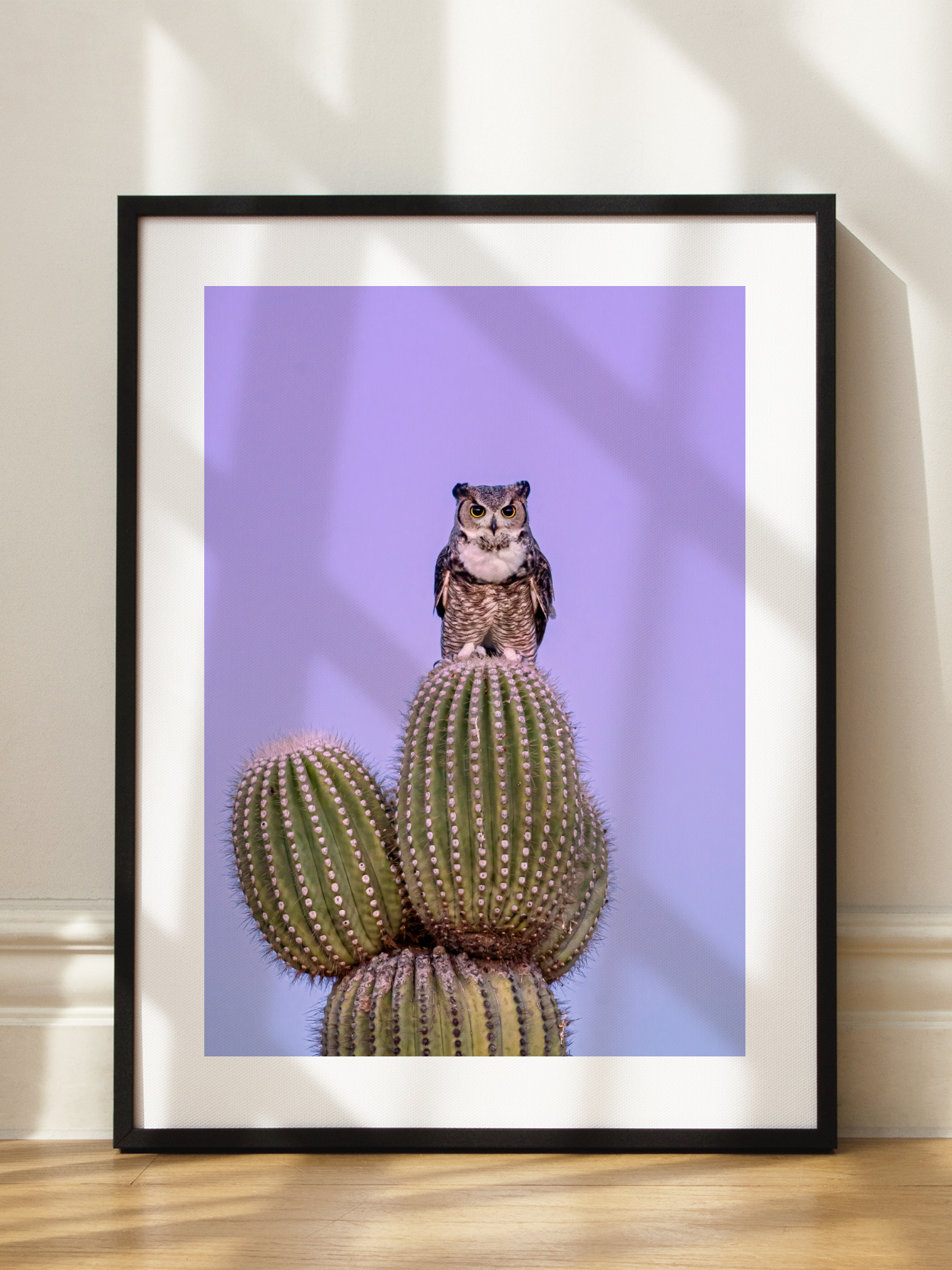 Owl on Cactus Poster