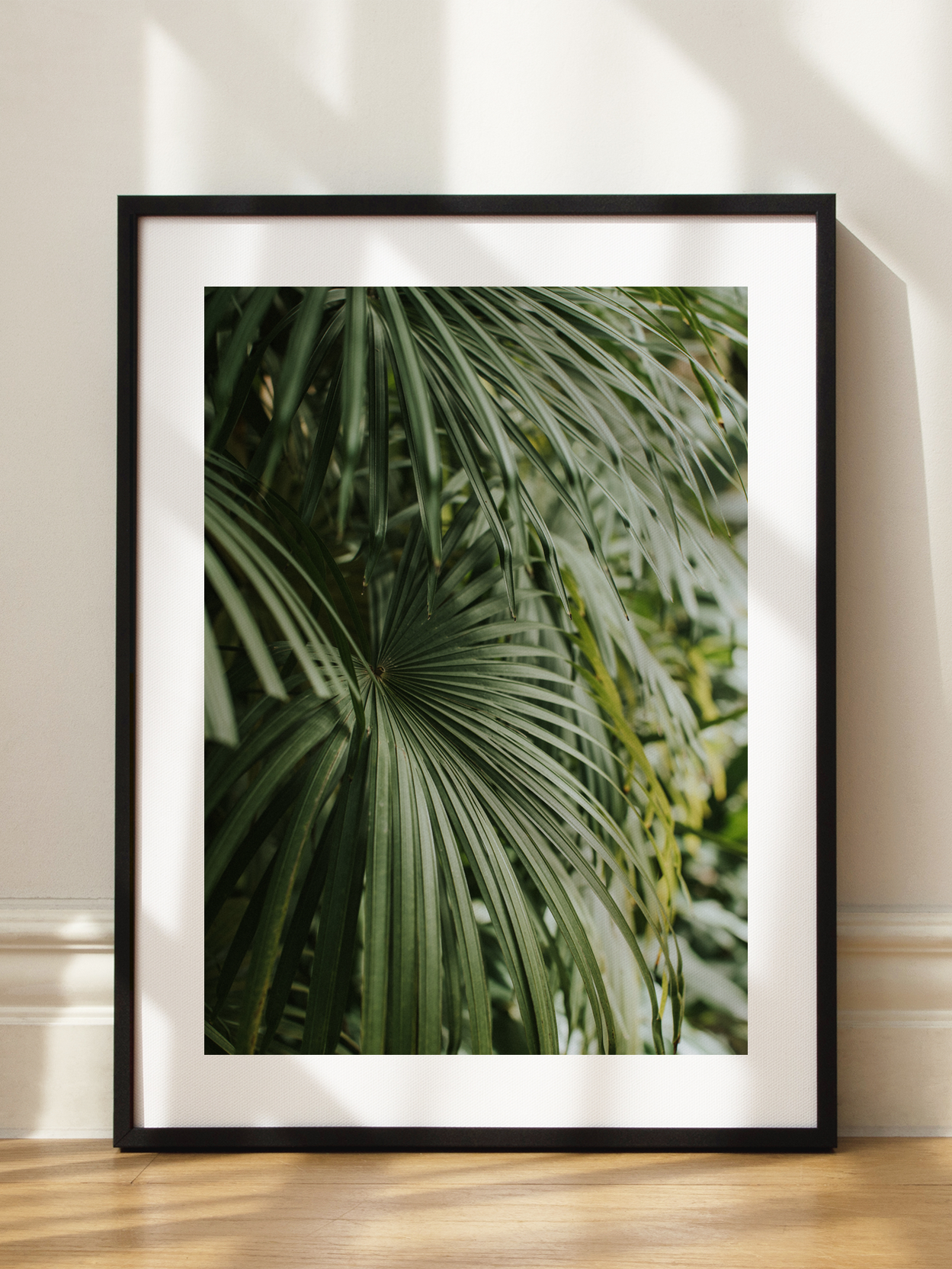 Palm Leaves Poster