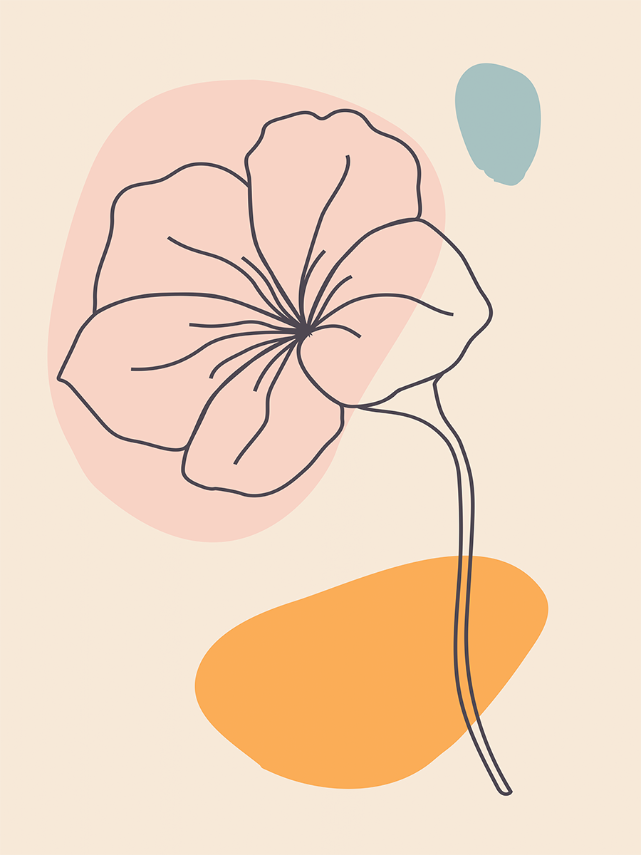 Illustration einer Blume in Schwarz auf beigem Hintergrund mit orangefarbenen, rosa und blauen Farbblöcken.
